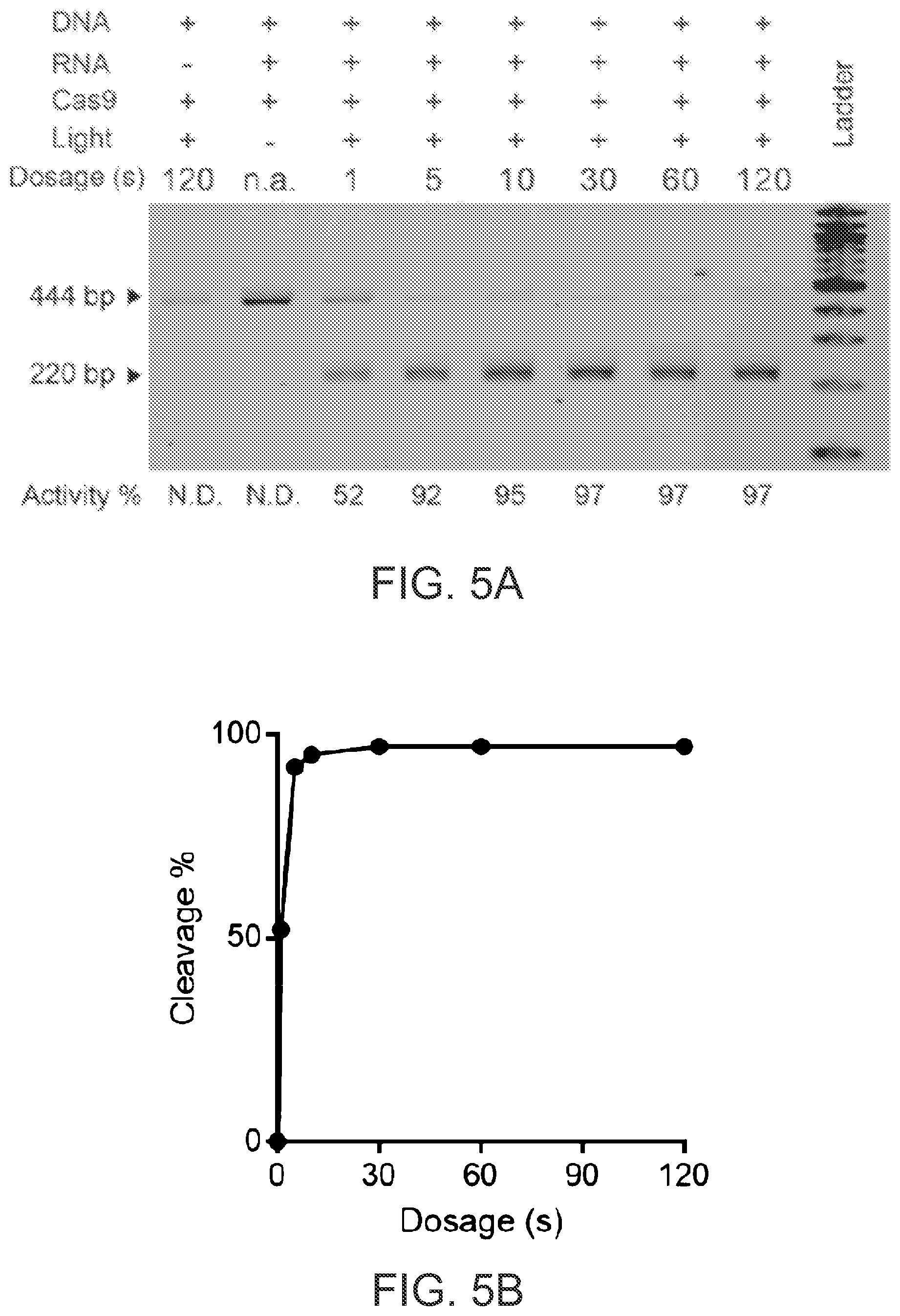 Patent US12612624 Figure 14 – Light-inducible CRISPR/Cas9 system for genome editing