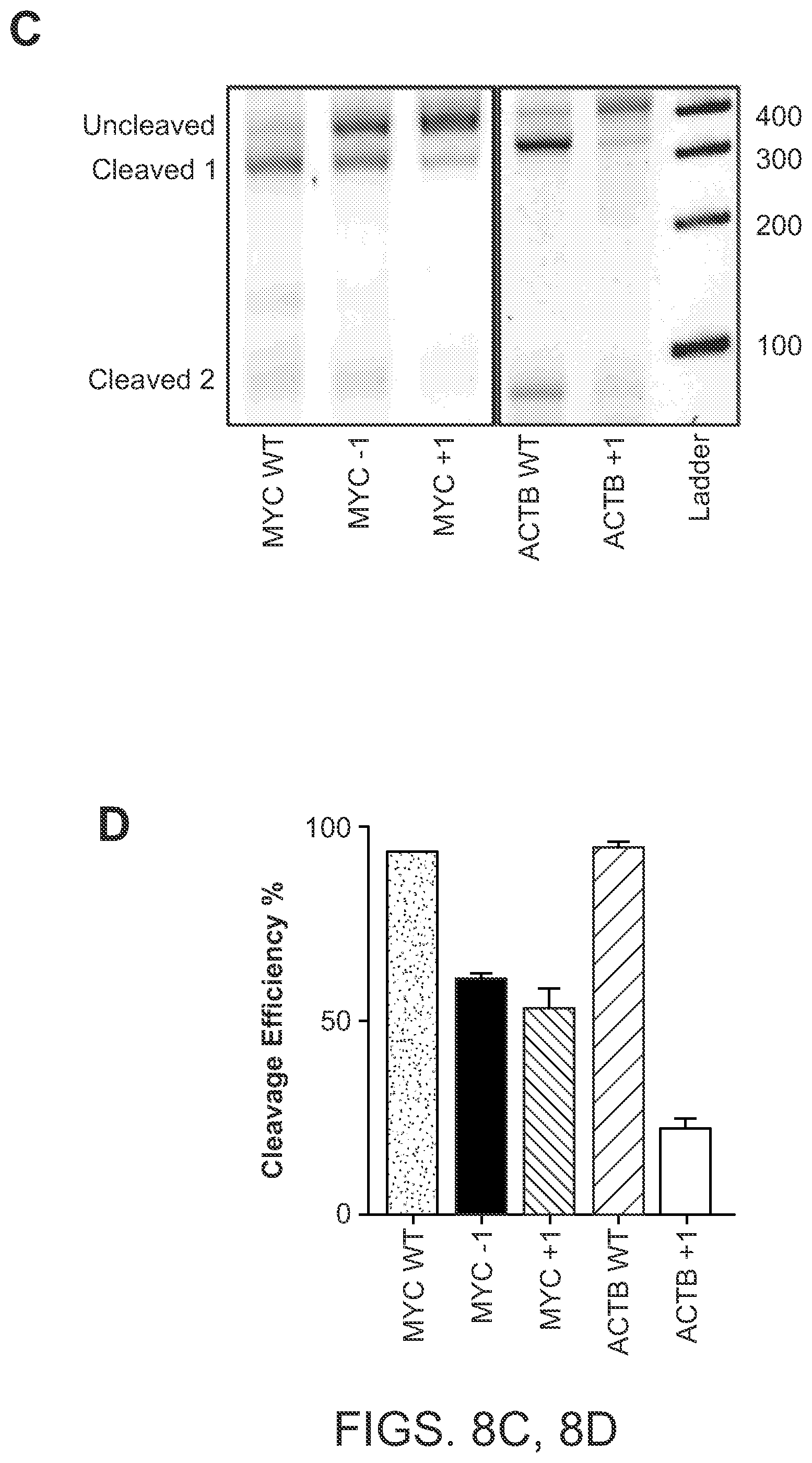 Patent US12612624 Figure 19 – Light-inducible CRISPR/Cas9 system for genome editing