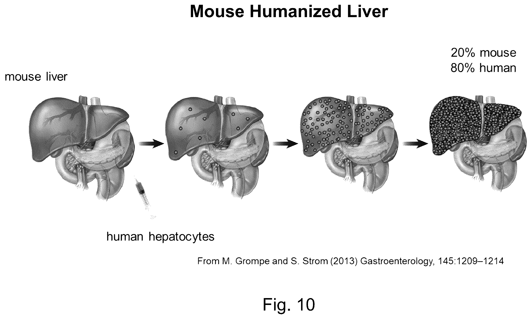 Patent US12612626 Figure 15 – siRNA compound that inhibits expression of APOC3