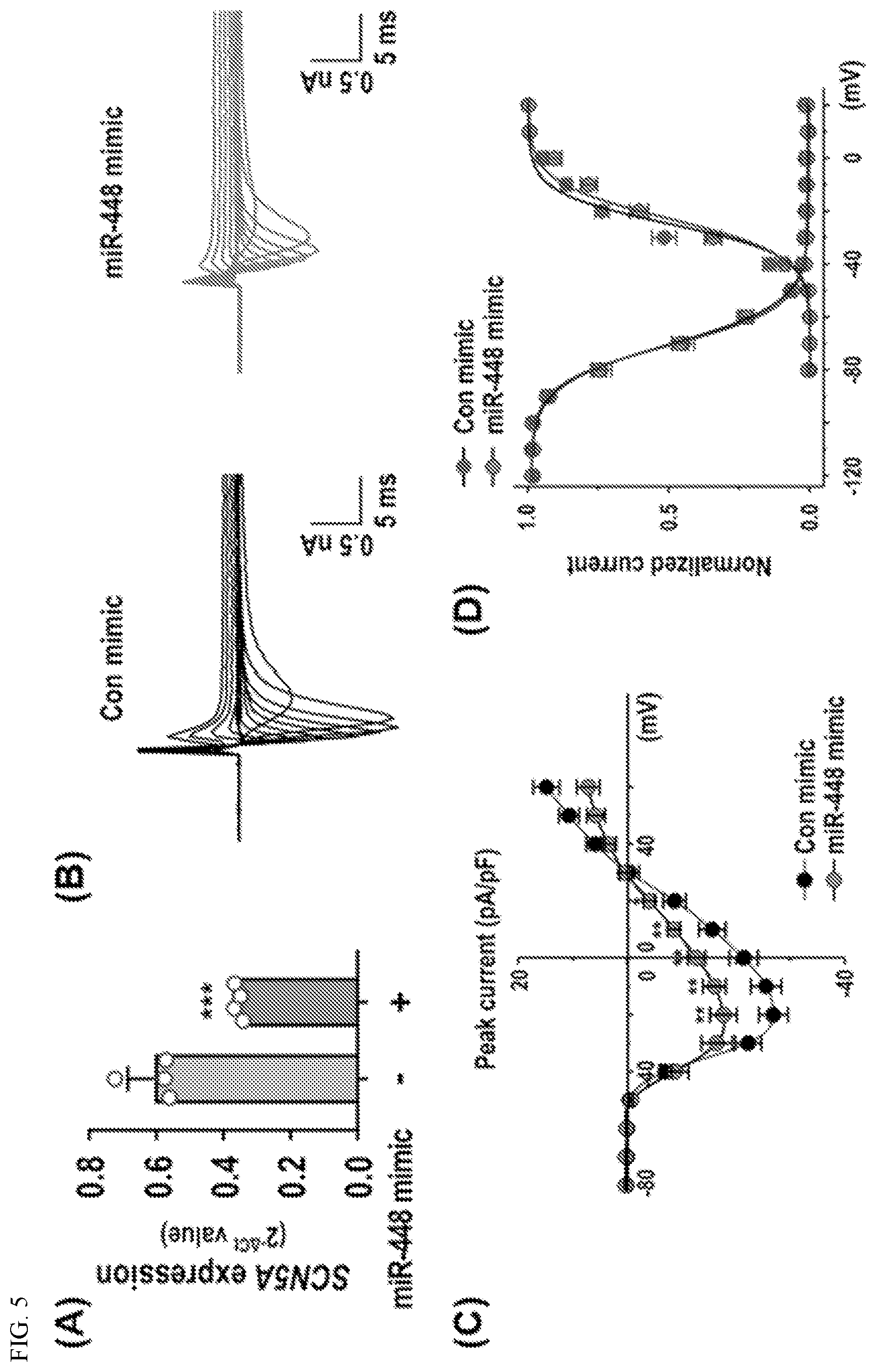 Patent US12612627 Figure 5 – Compositions and methods for increasing sodium current in cardiac cells