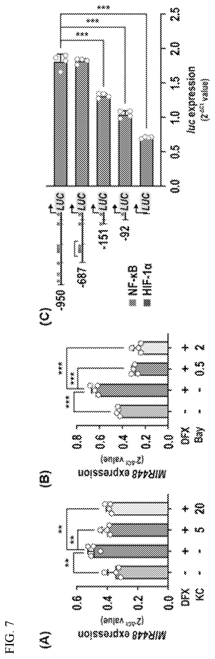 Patent US12612627 Figure 7 – Compositions and methods for increasing sodium current in cardiac cells