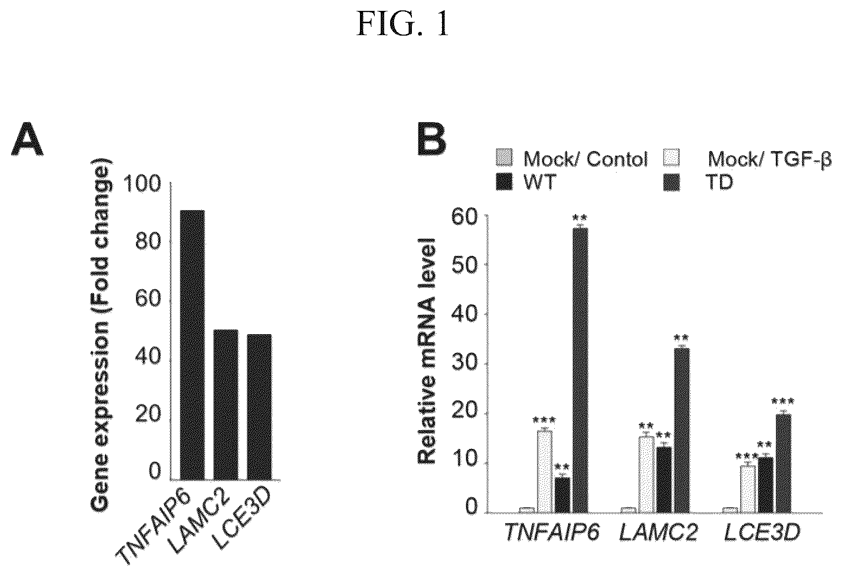 Patent US12612628 Figure 1 – Composition for treating metastatic solid cancer, comprising TSG6 inhibitor