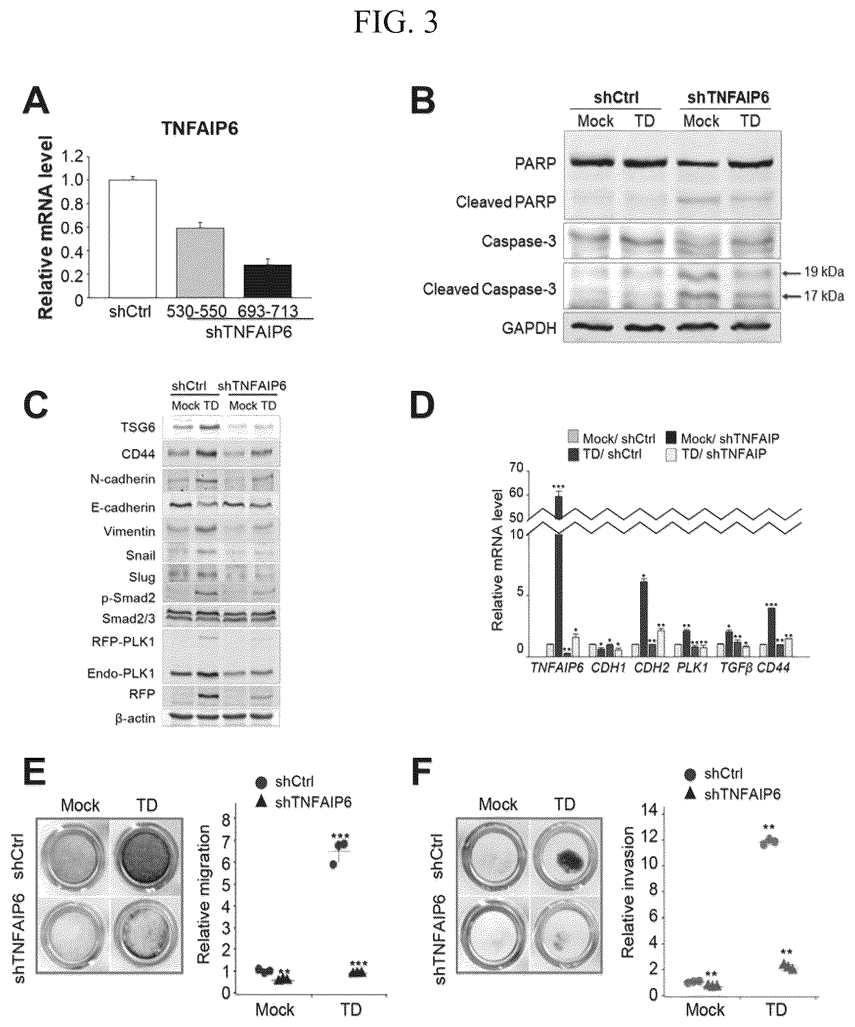 Patent US12612628 Figure 3 – Composition for treating metastatic solid cancer, comprising TSG6 inhibitor