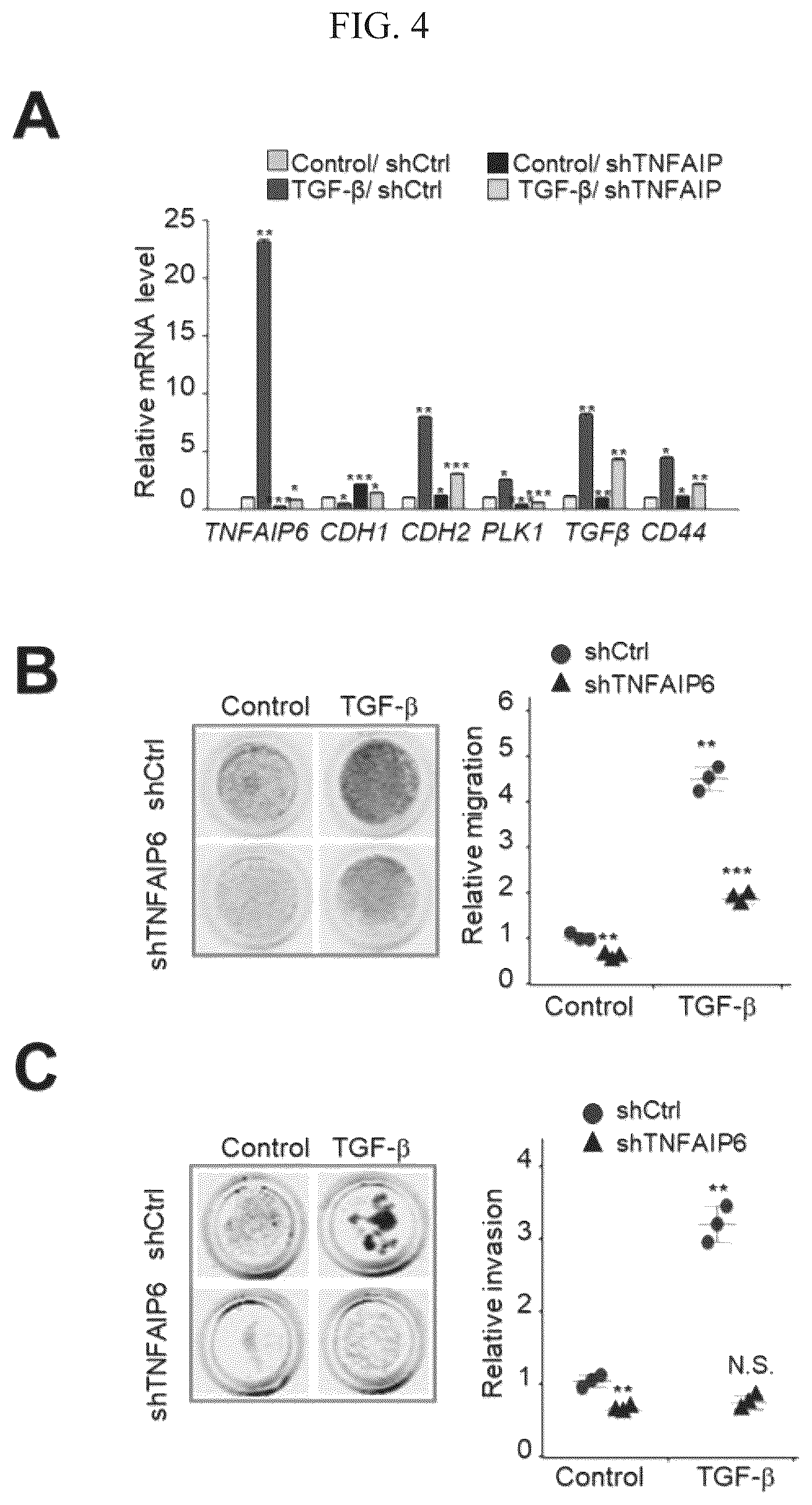 Patent US12612628 Figure 4 – Composition for treating metastatic solid cancer, comprising TSG6 inhibitor