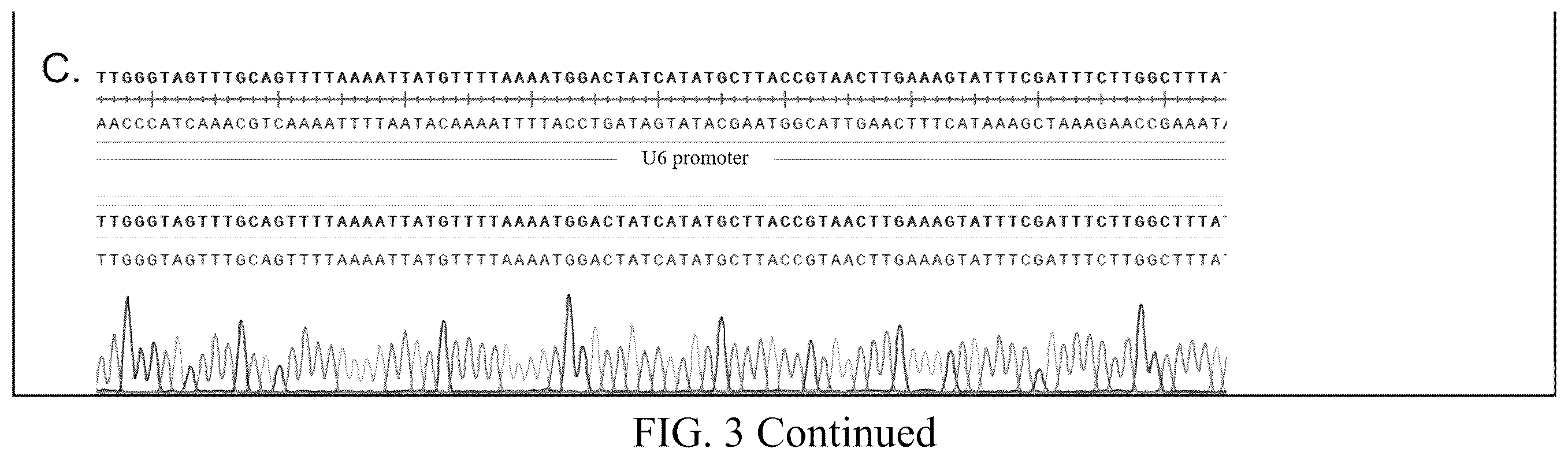 Patent US12612629 Figure 4 – Duchenne muscular dystrophy-related exonic splicing enhancer, sgRNA and gene editing tool, and applications
