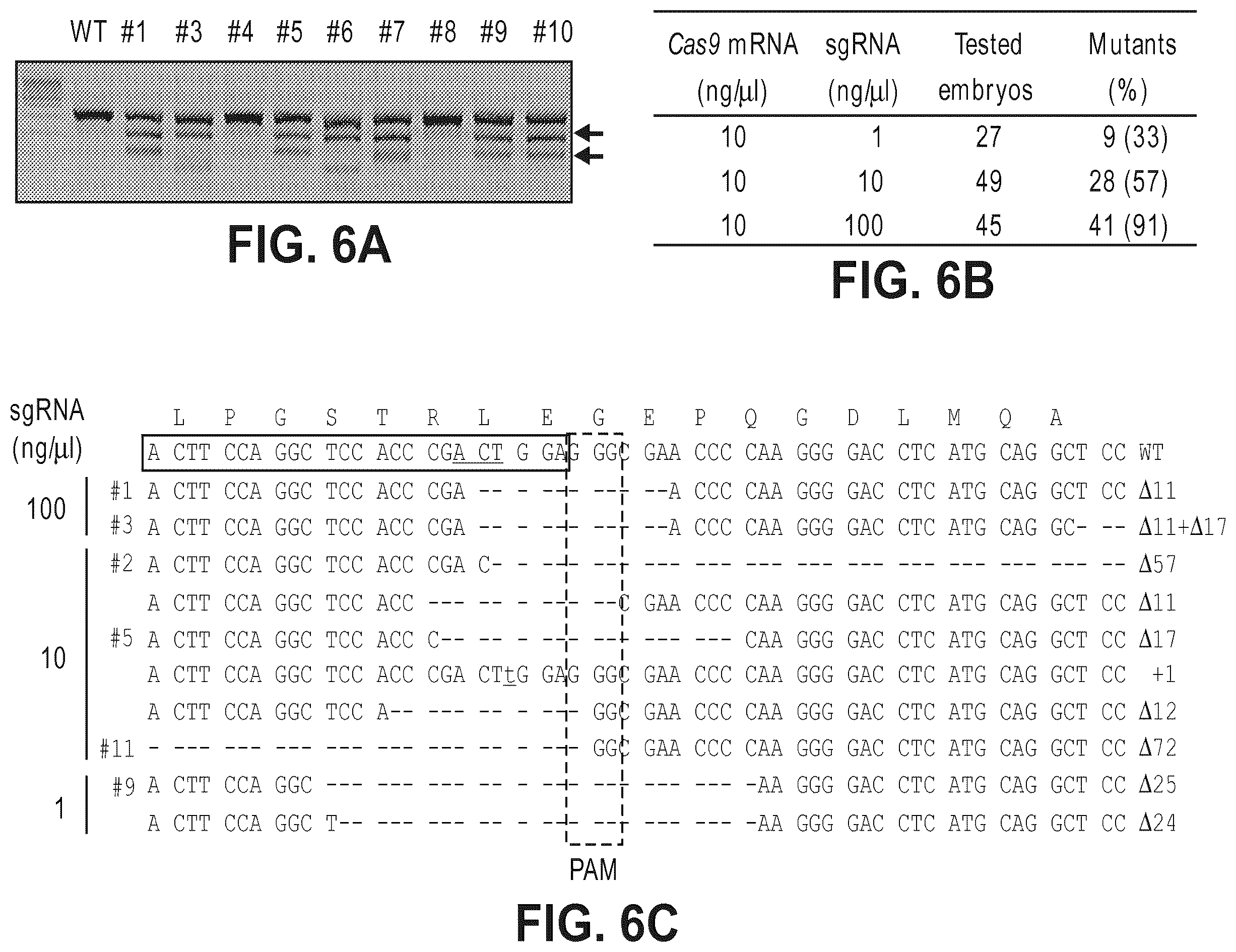 Patent US12612632 Figure 12 – Compositions for inducing modifications of target endogenous nucleic acid sequences in nucleuses of eukaryotic cells