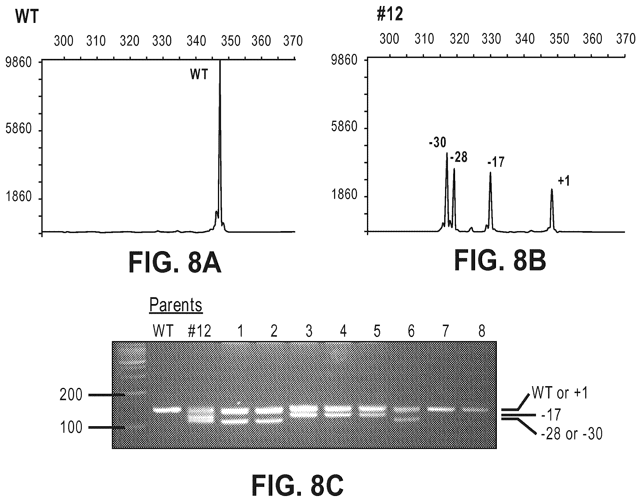 Patent US12612632 Figure 15 – Compositions for inducing modifications of target endogenous nucleic acid sequences in nucleuses of eukaryotic cells