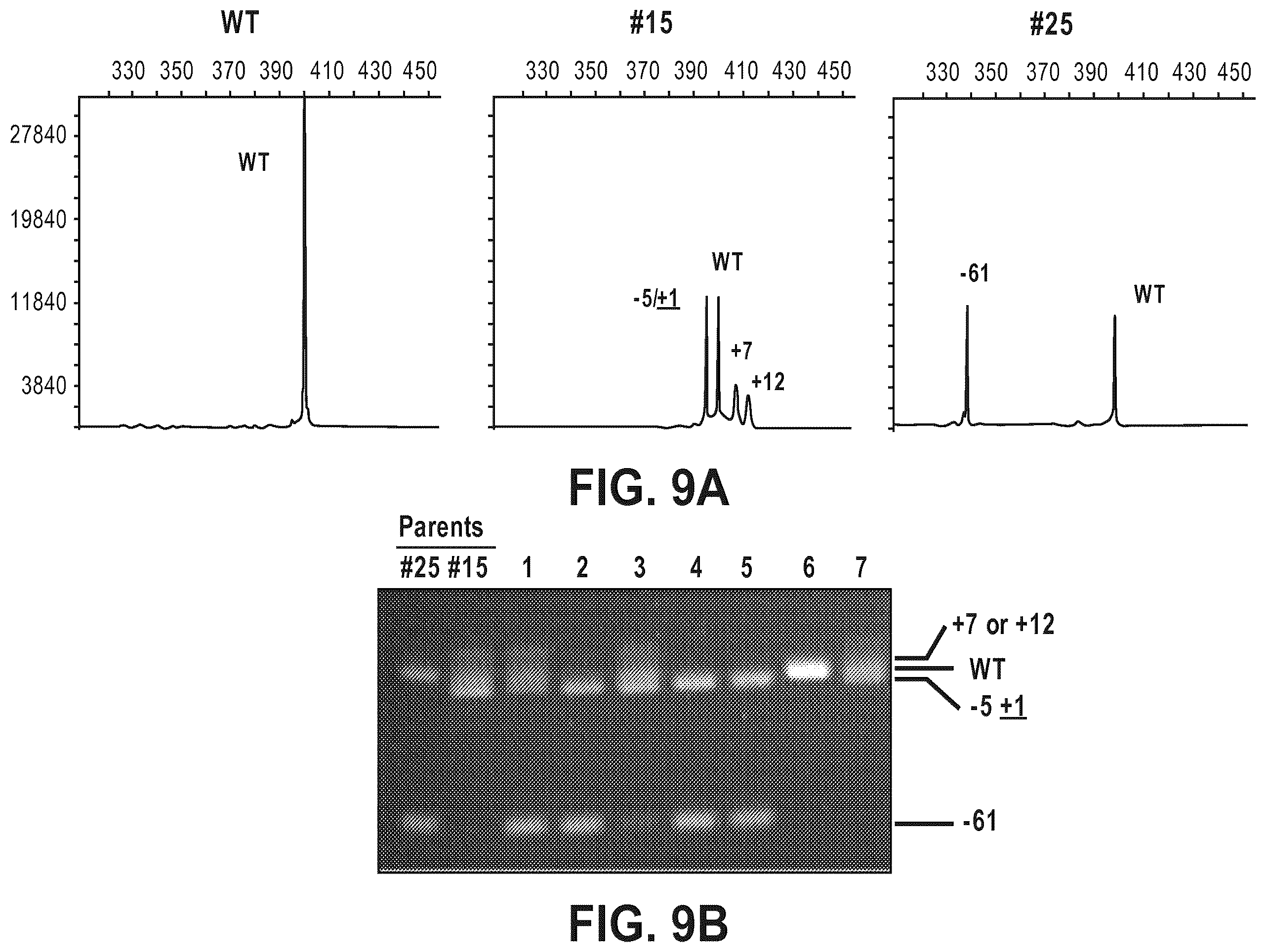 Patent US12612632 Figure 16 – Compositions for inducing modifications of target endogenous nucleic acid sequences in nucleuses of eukaryotic cells