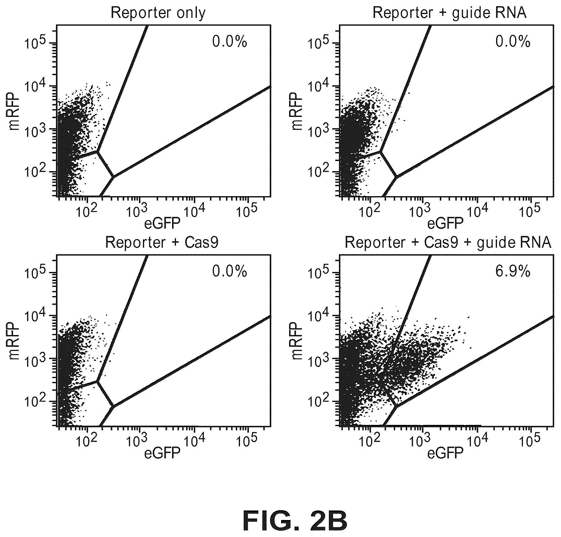 Patent US12612633 Figure 4 – Compositions for inducing modifications of target endogenous nucleic acid sequences in nucleuses of eukaryotic cells