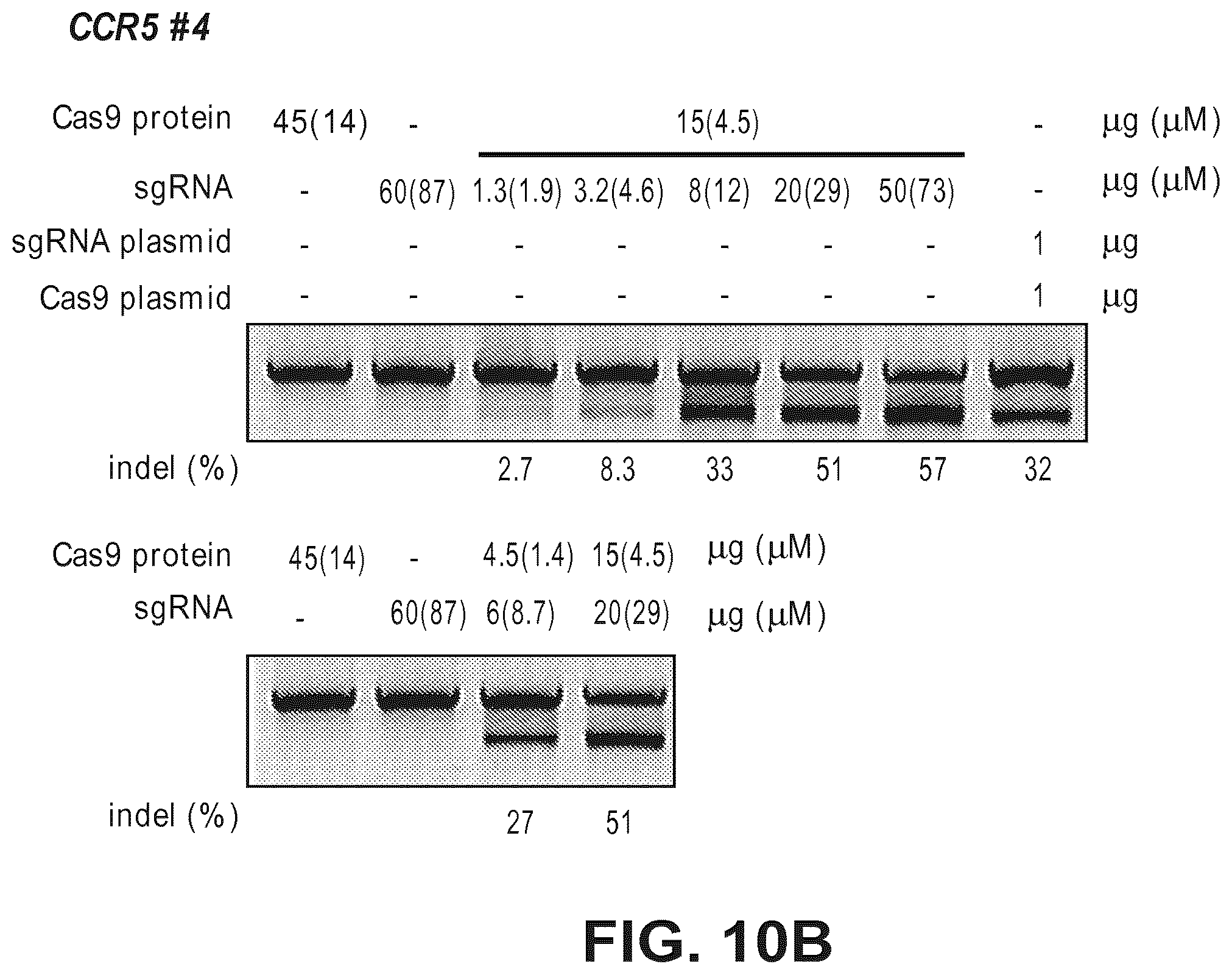Patent US12612633 Figure 18 – Compositions for inducing modifications of target endogenous nucleic acid sequences in nucleuses of eukaryotic cells