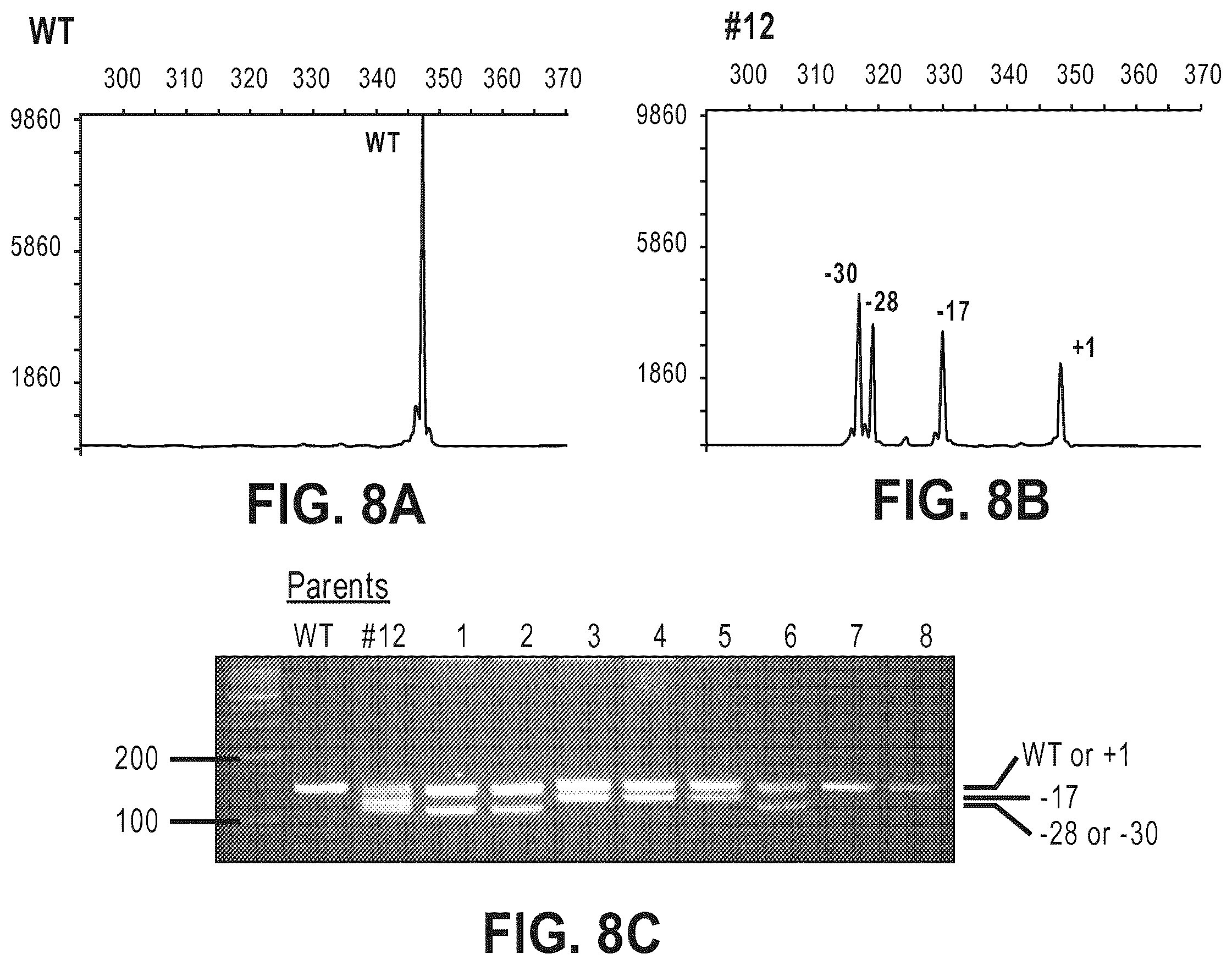 Patent US12612634 Figure 15 – Compositions for inducing modifications of target endogenous nucleic acid sequences in nucleuses of eukaryotic cells