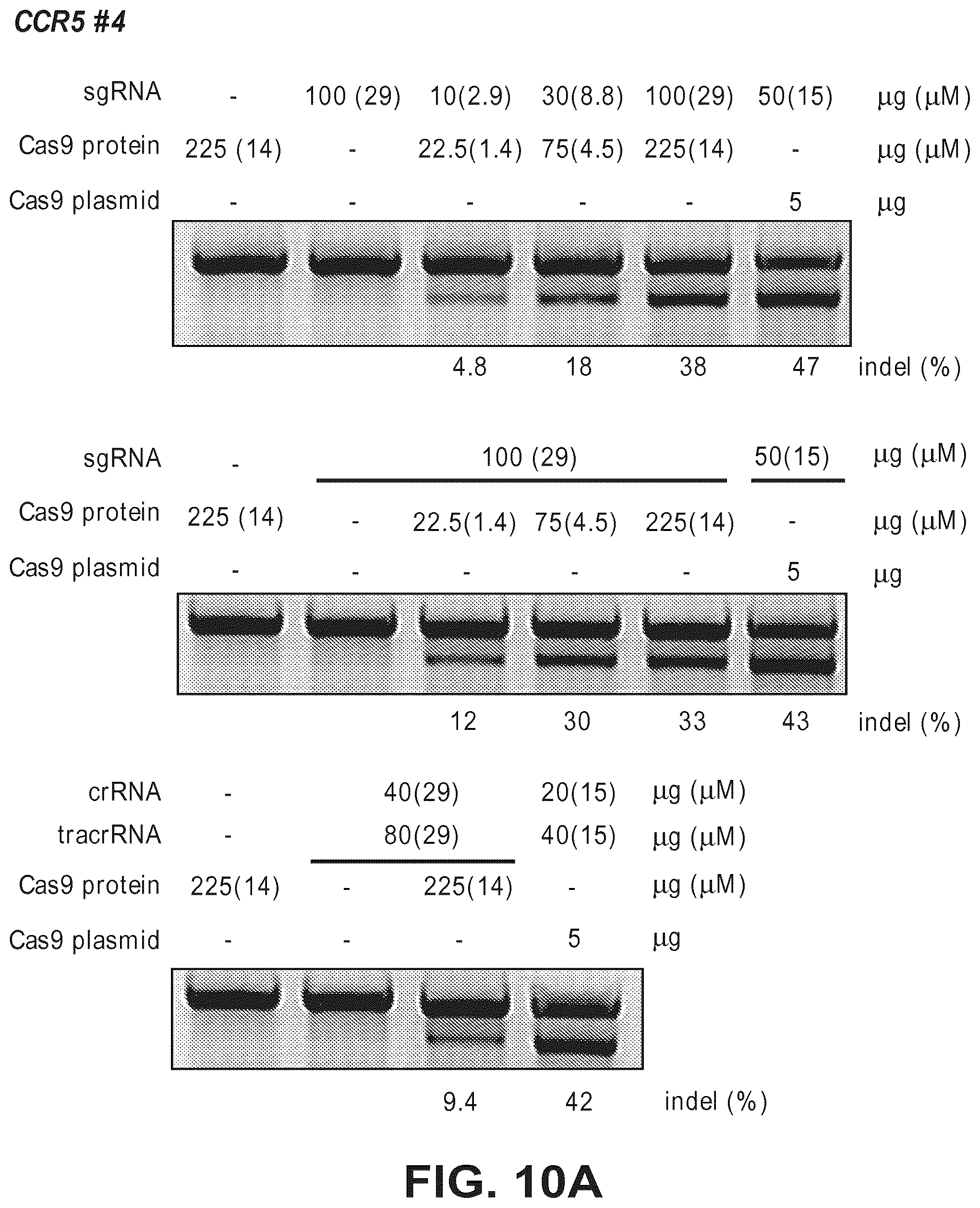 Patent US12612634 Figure 17 – Compositions for inducing modifications of target endogenous nucleic acid sequences in nucleuses of eukaryotic cells