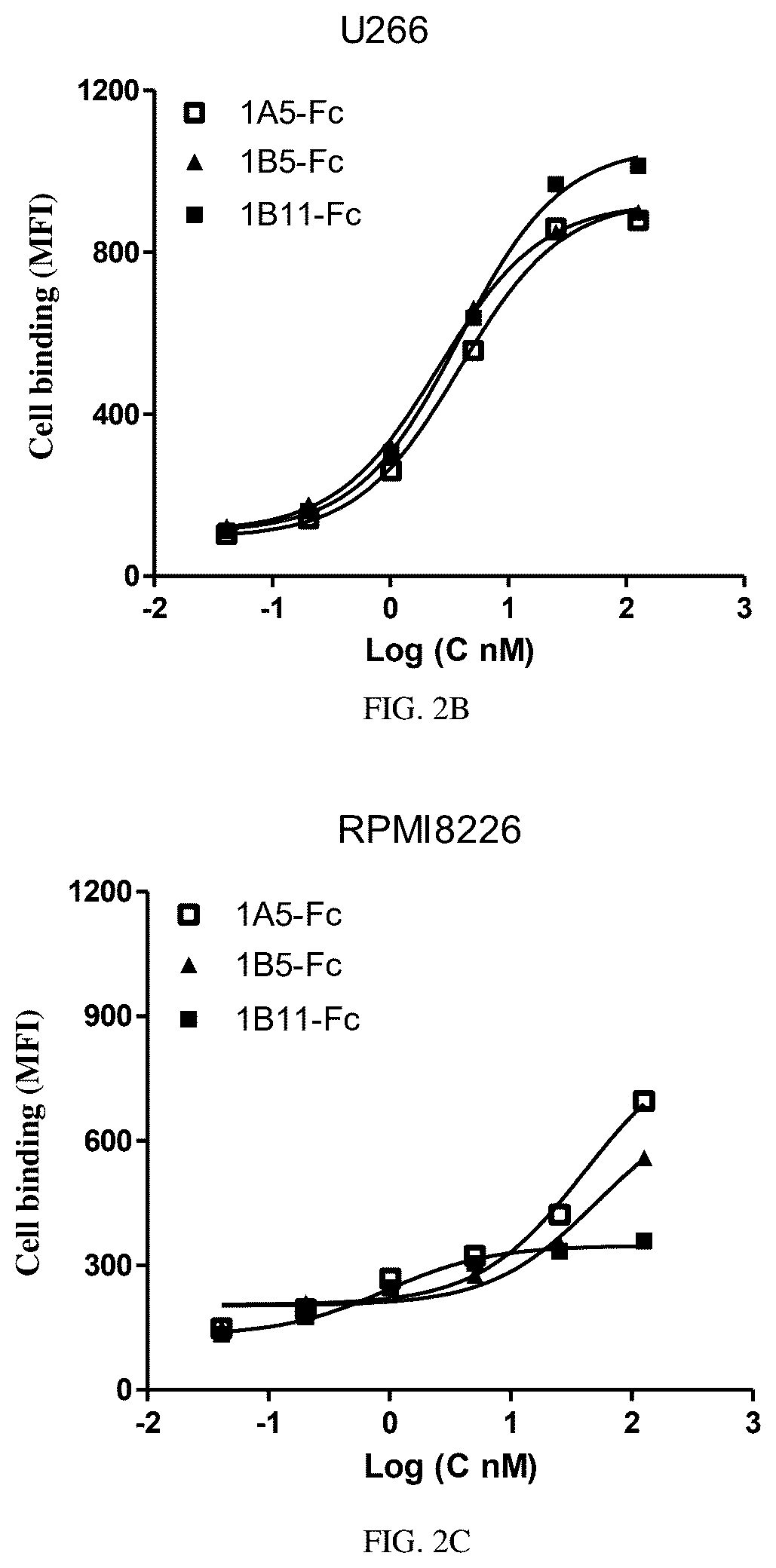 Patent US12612635 Figure 2 – BCMA-binding single variable structural domain and antigen-binding molecule