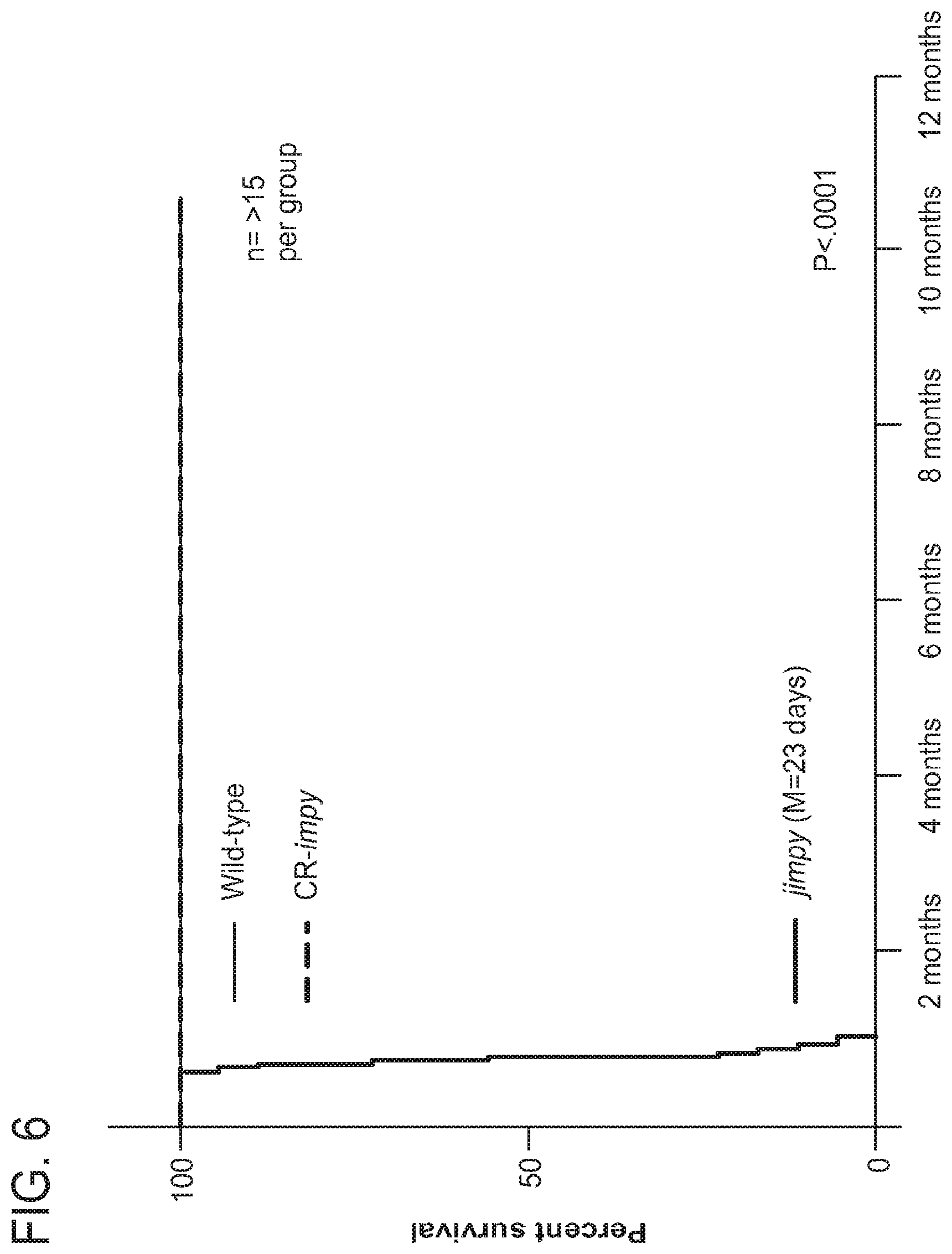 Patent US12612636 Figure 5 – Methods and compositions for enhancing functional myelin production