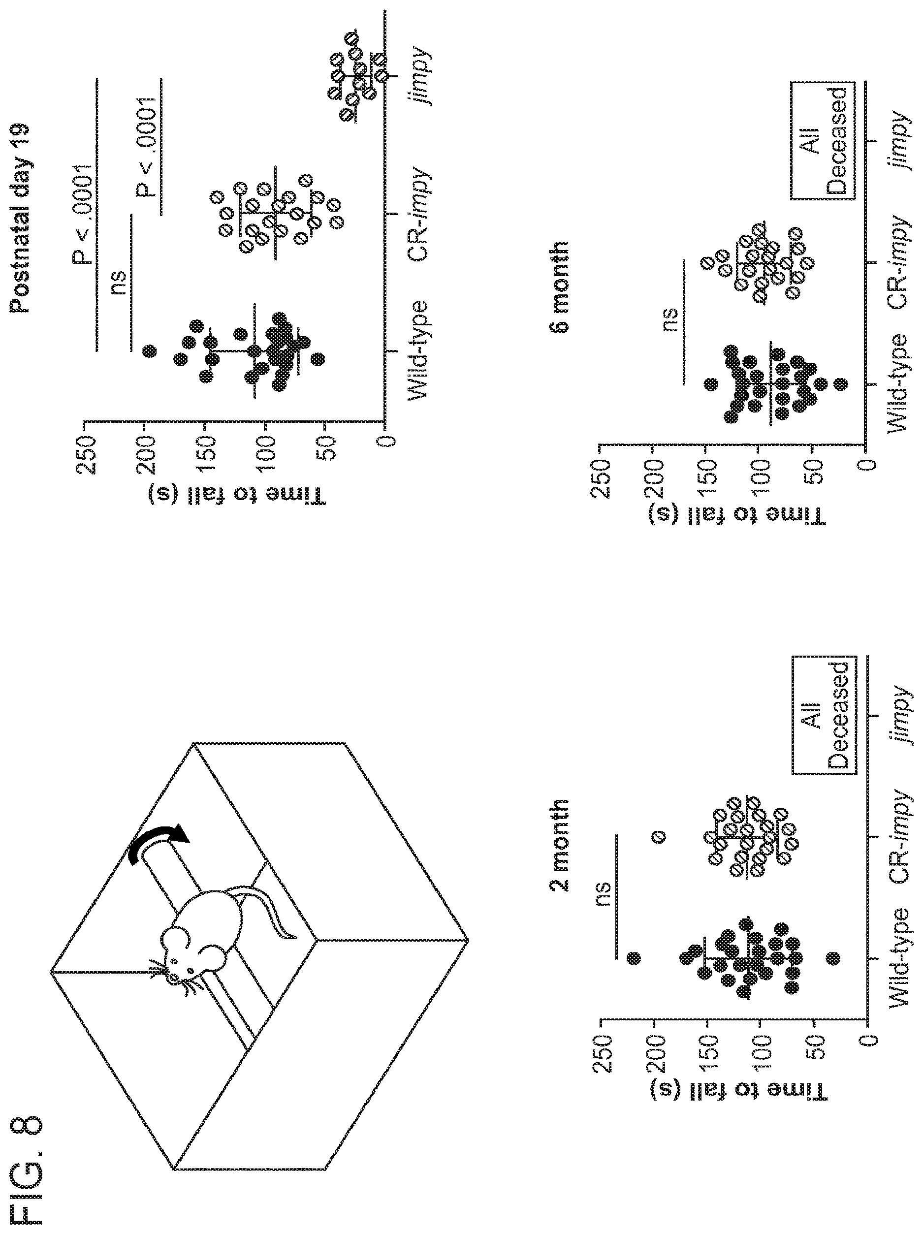 Patent US12612636 Figure 7 – Methods and compositions for enhancing functional myelin production