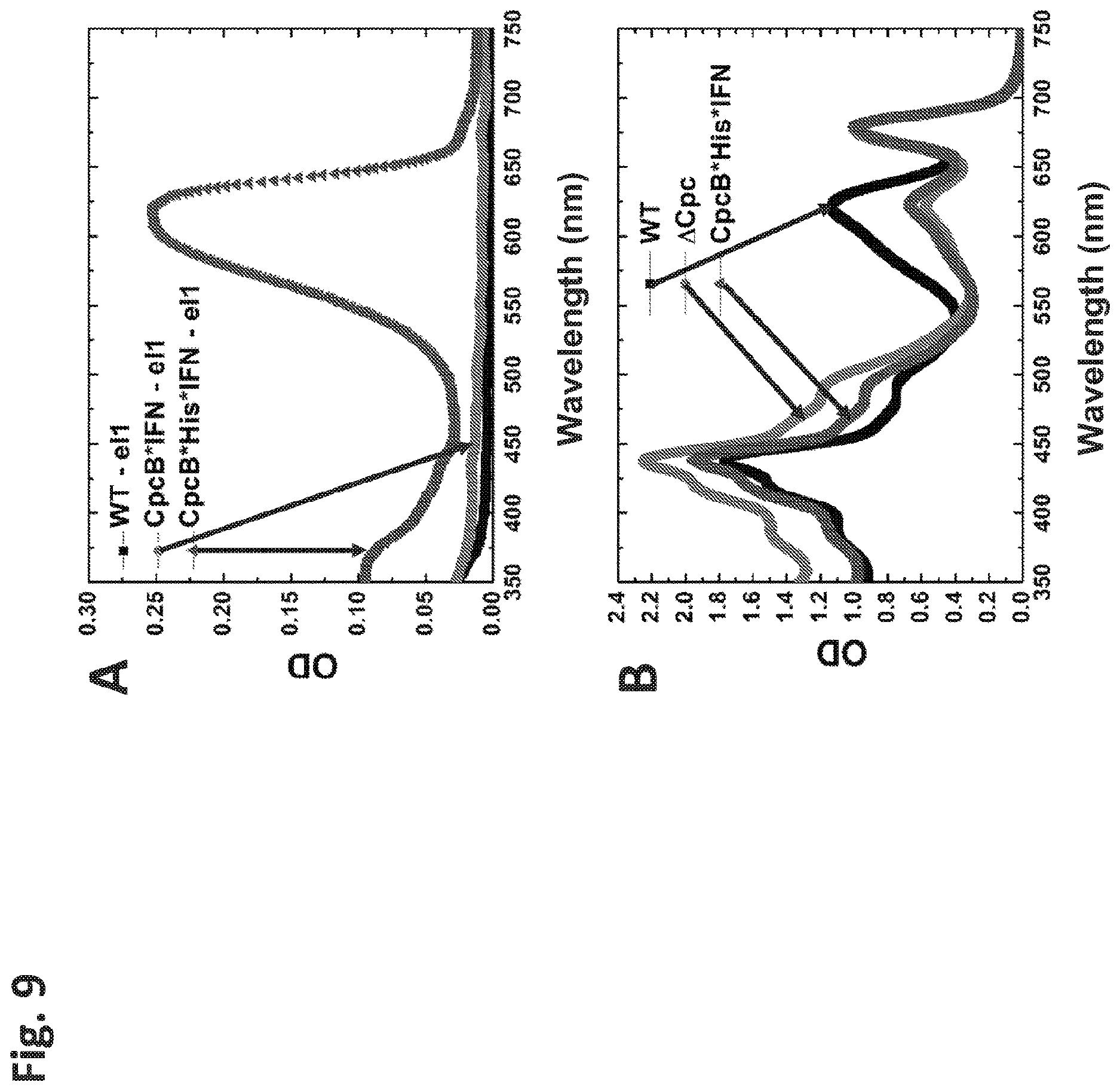 Patent US12612638 Figure 9 – Fusion constructs to express biopharmaceutical polypeptides in cyanobacteria