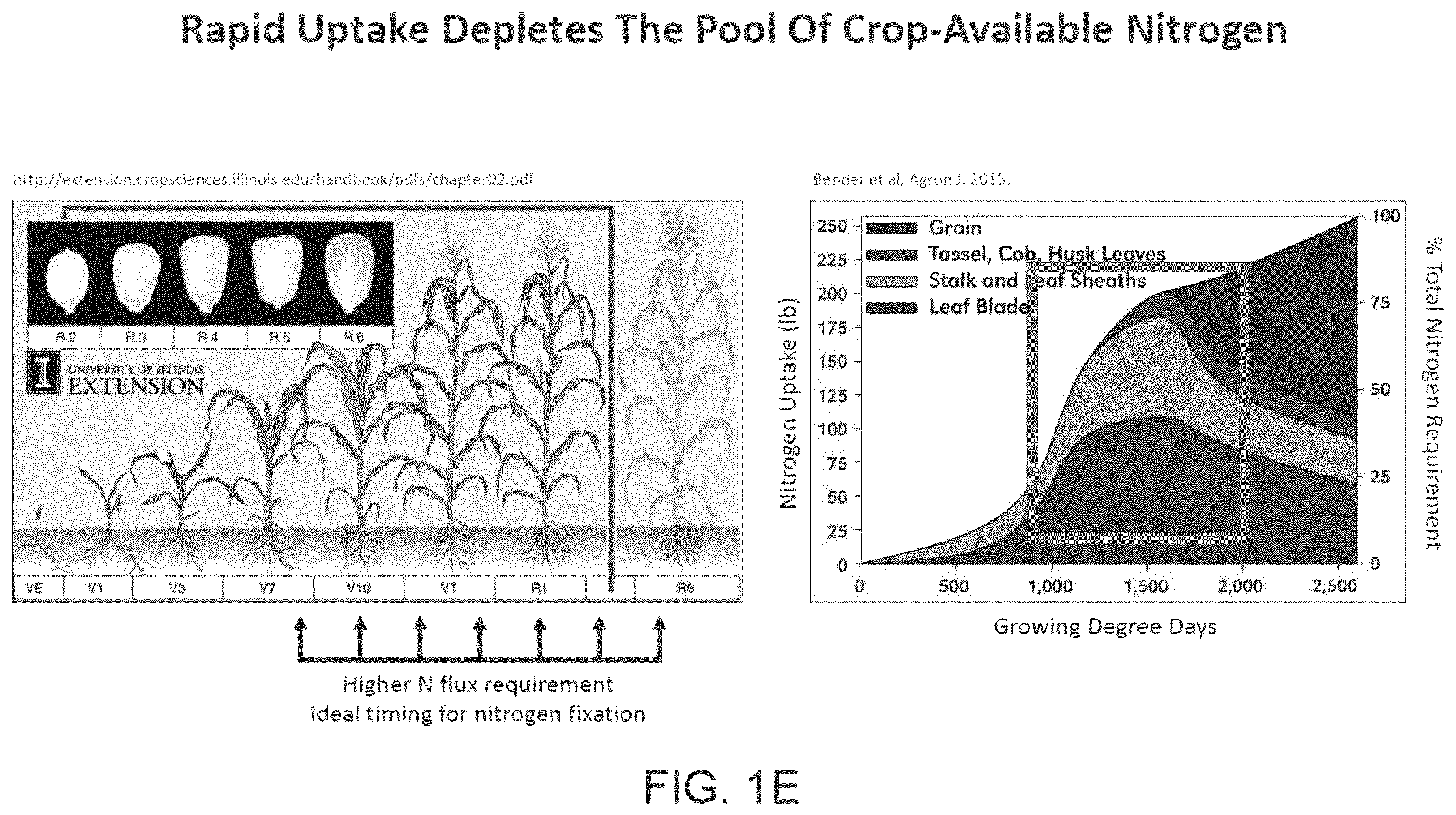 Patent US12612639 Figure 5 – Guided microbial remodeling, a platform for the rational improvement of microbial species for agriculture