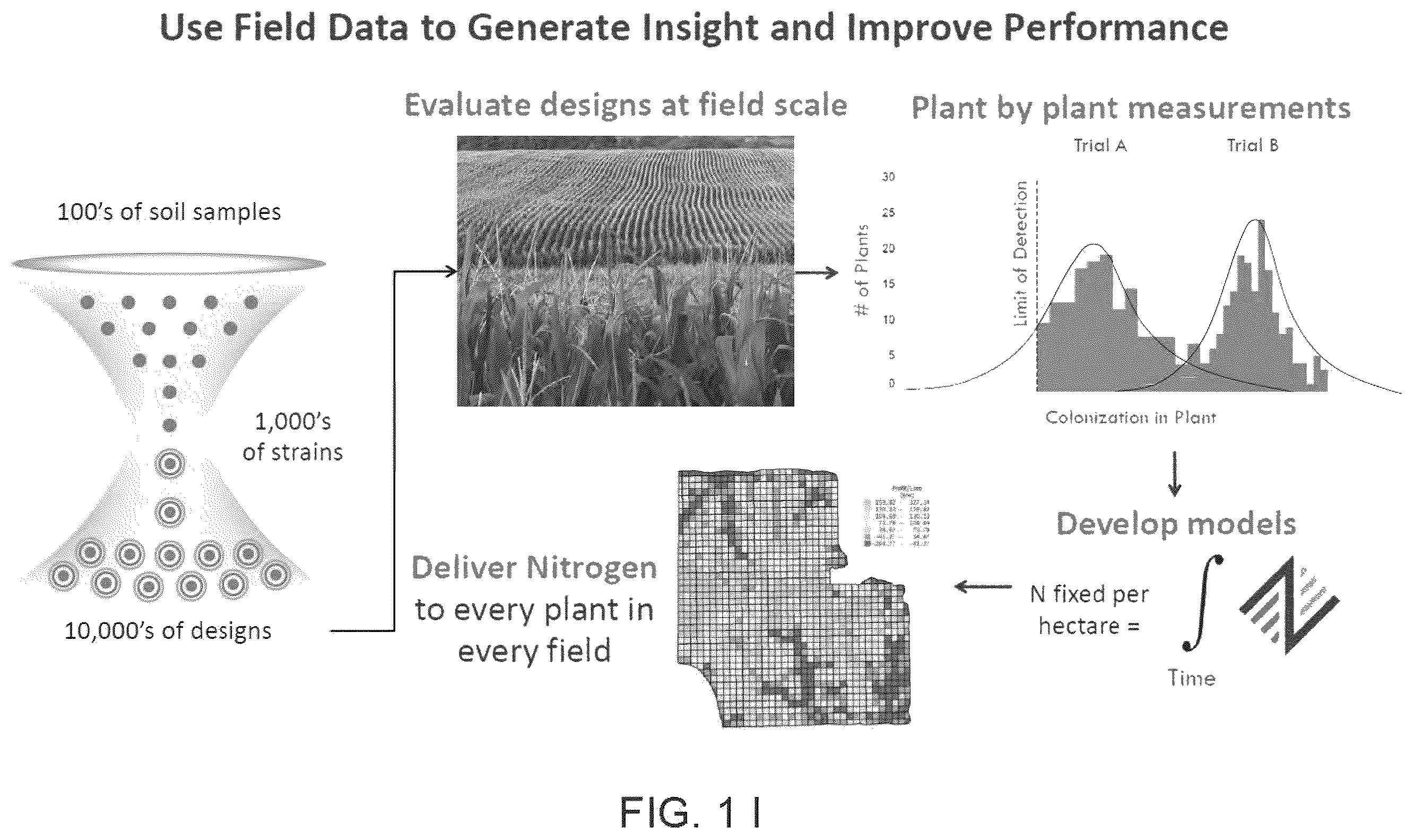 Patent US12612639 Figure 9 – Guided microbial remodeling, a platform for the rational improvement of microbial species for agriculture
