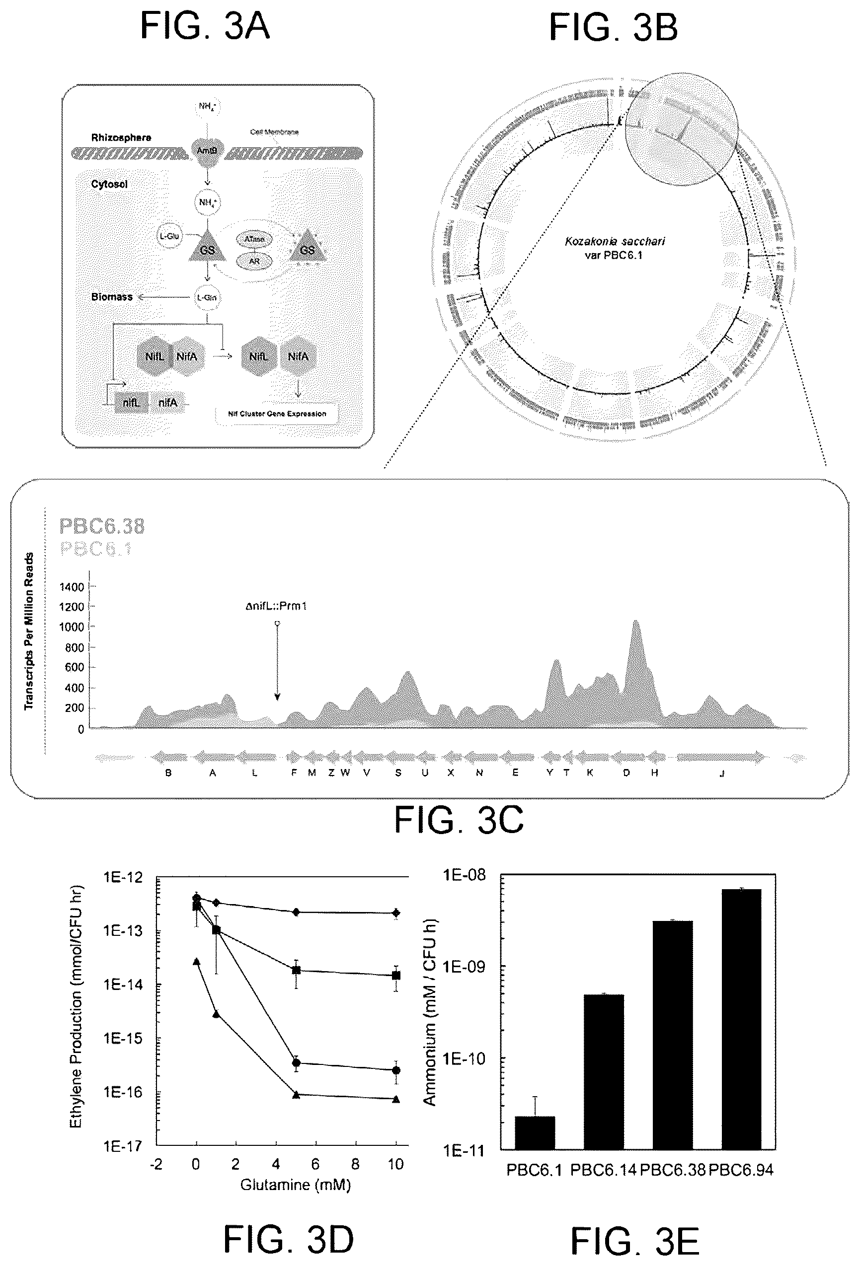 Patent US12612639 Figure 17 – Guided microbial remodeling, a platform for the rational improvement of microbial species for agriculture