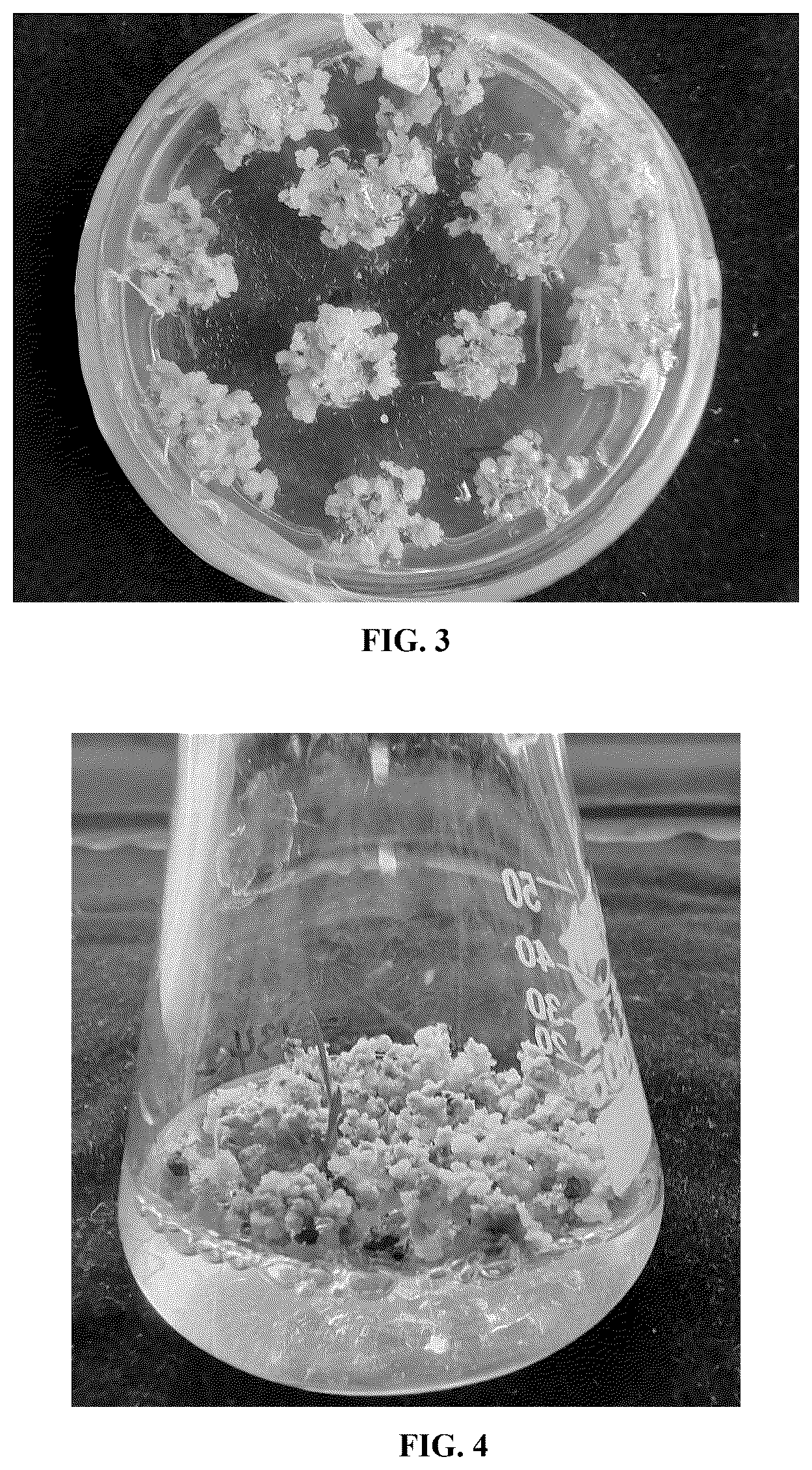 Patent US12612640 Figure 2 – Gene related to biosynthesis of ergothioneine, and use thereof