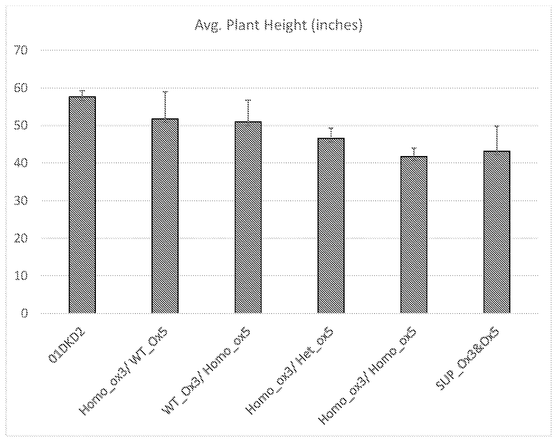 Patent US12612642 Figure 1 – Methods and compositions for increasing harvestable yield via editing GA20 oxidase genes to generate short stature plants