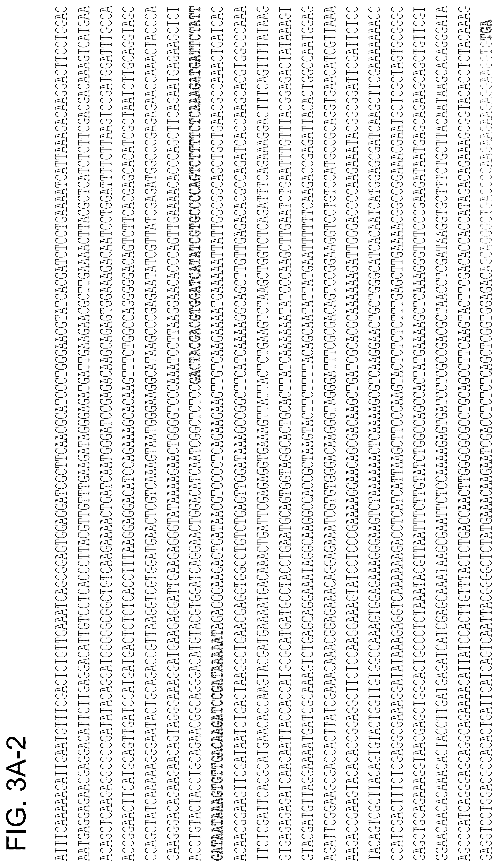 Patent US12612643 Figure 14 – RNA-guided human genome engineering