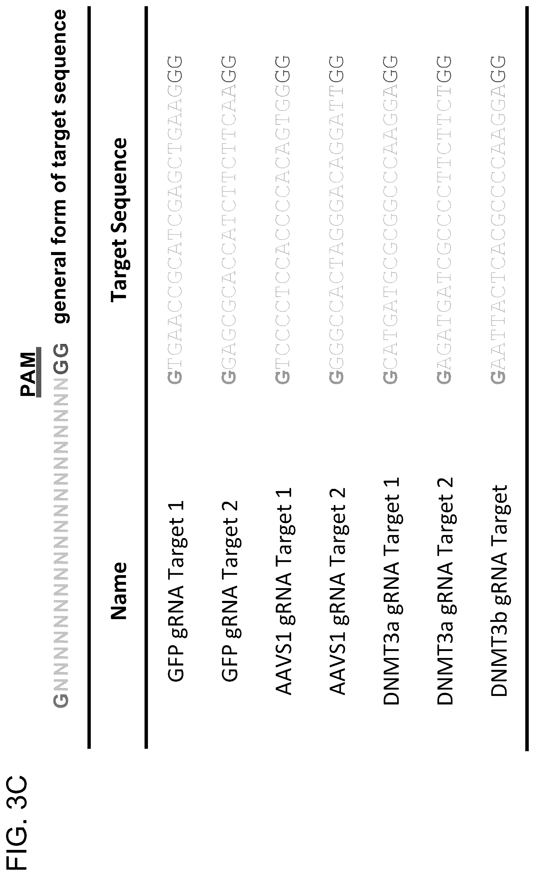 Patent US12612643 Figure 16 – RNA-guided human genome engineering