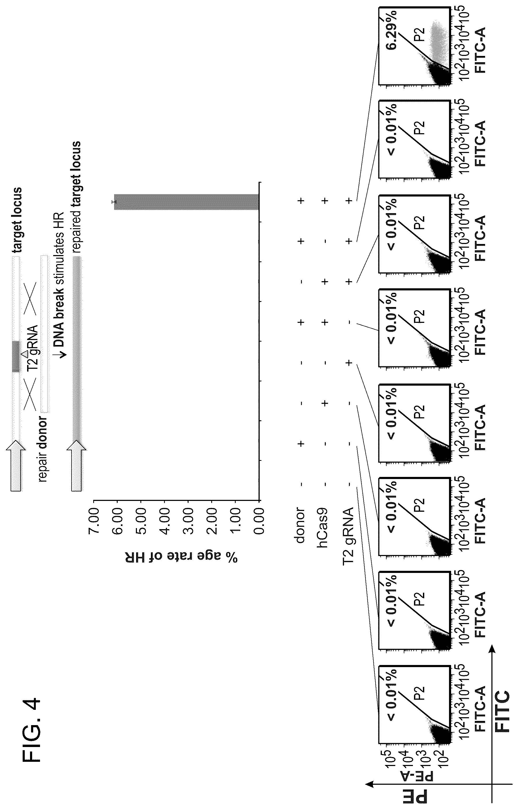 Patent US12612643 Figure 17 – RNA-guided human genome engineering