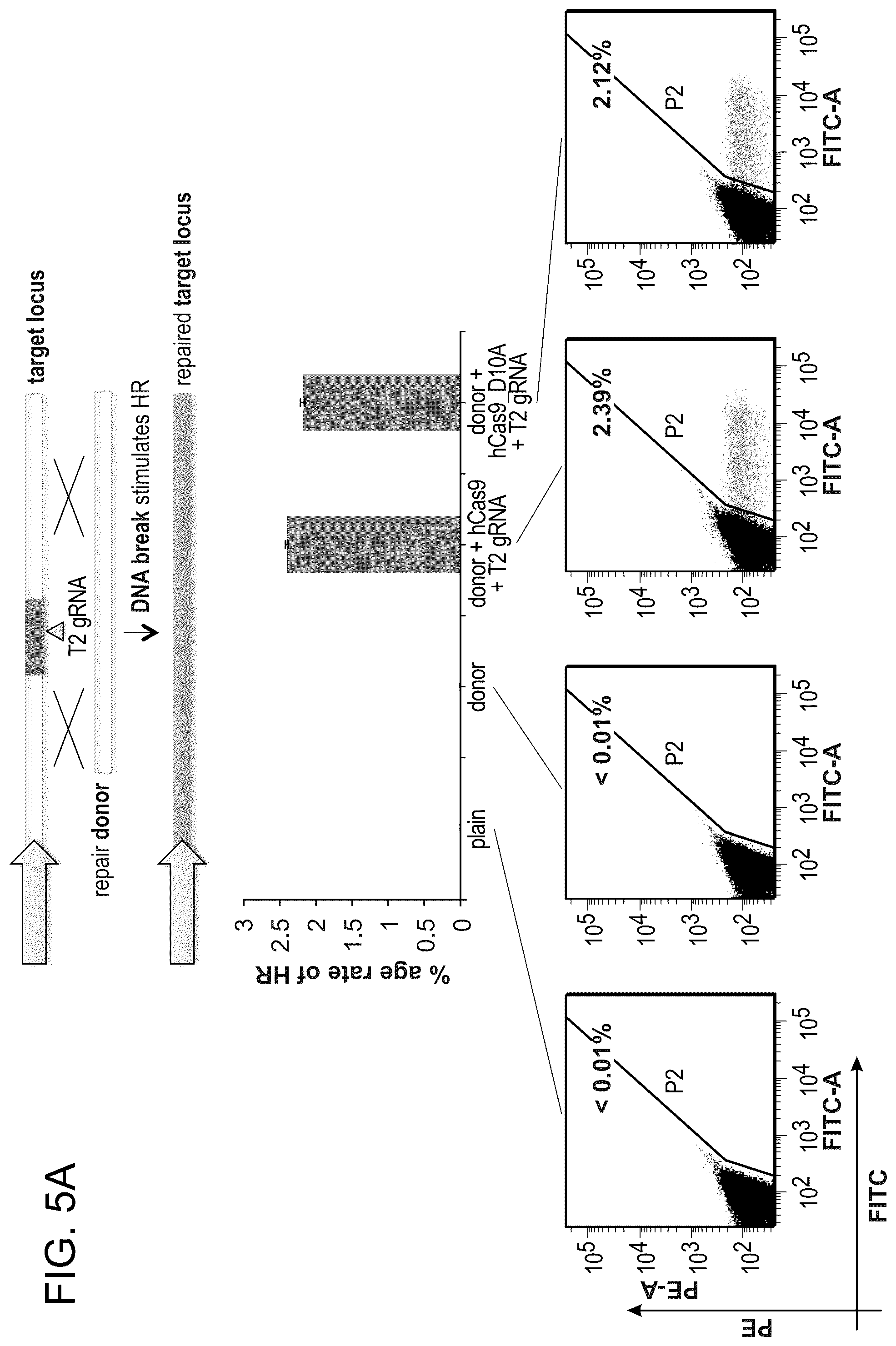 Patent US12612643 Figure 18 – RNA-guided human genome engineering