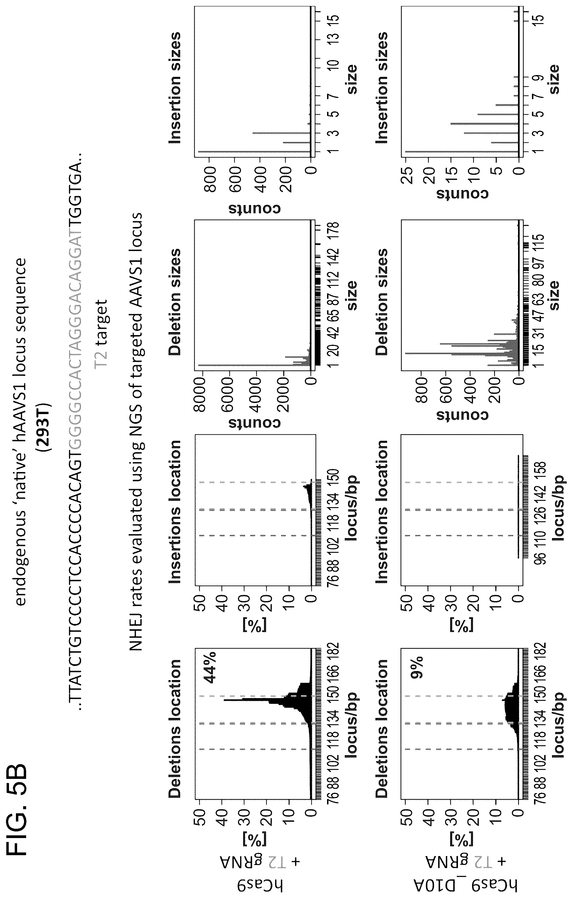 Patent US12612643 Figure 19 – RNA-guided human genome engineering