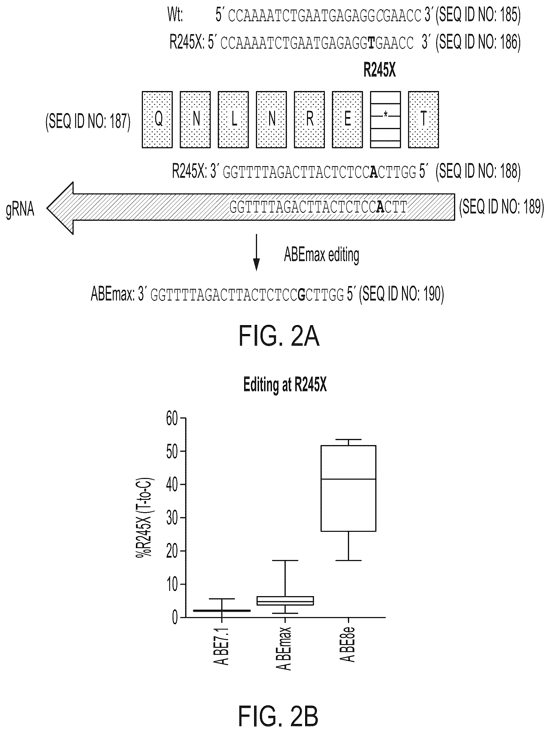 Patent US12612645 Figure 12 – AAV vectors encoding mini-PCDH15 and uses thereof