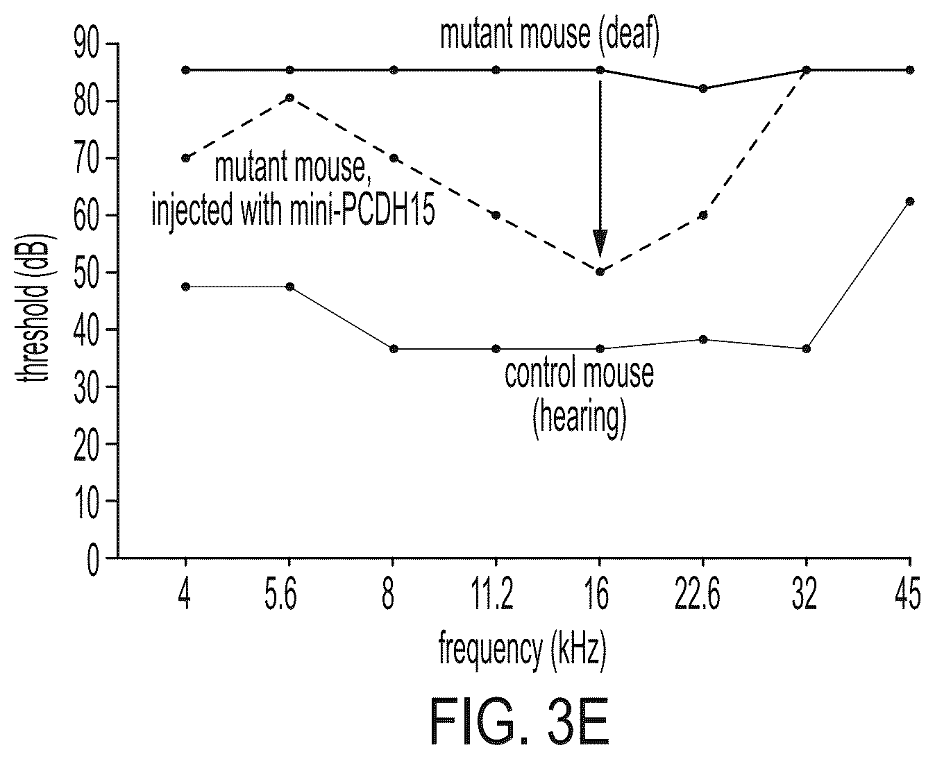 Patent US12612645 Figure 17 – AAV vectors encoding mini-PCDH15 and uses thereof