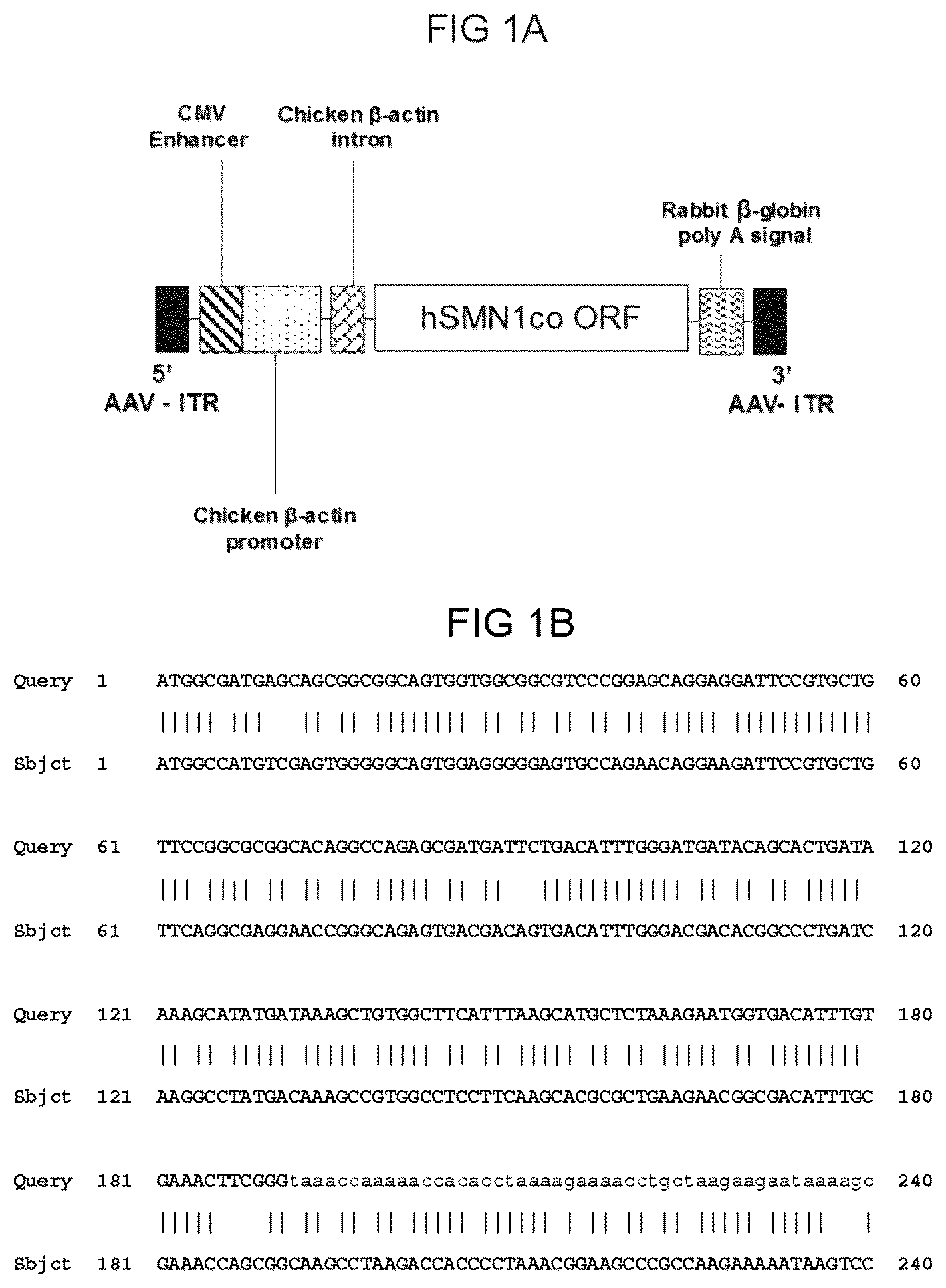 Patent US12612647 Figure 1 – Compositions useful in treatment of spinal muscular atrophy