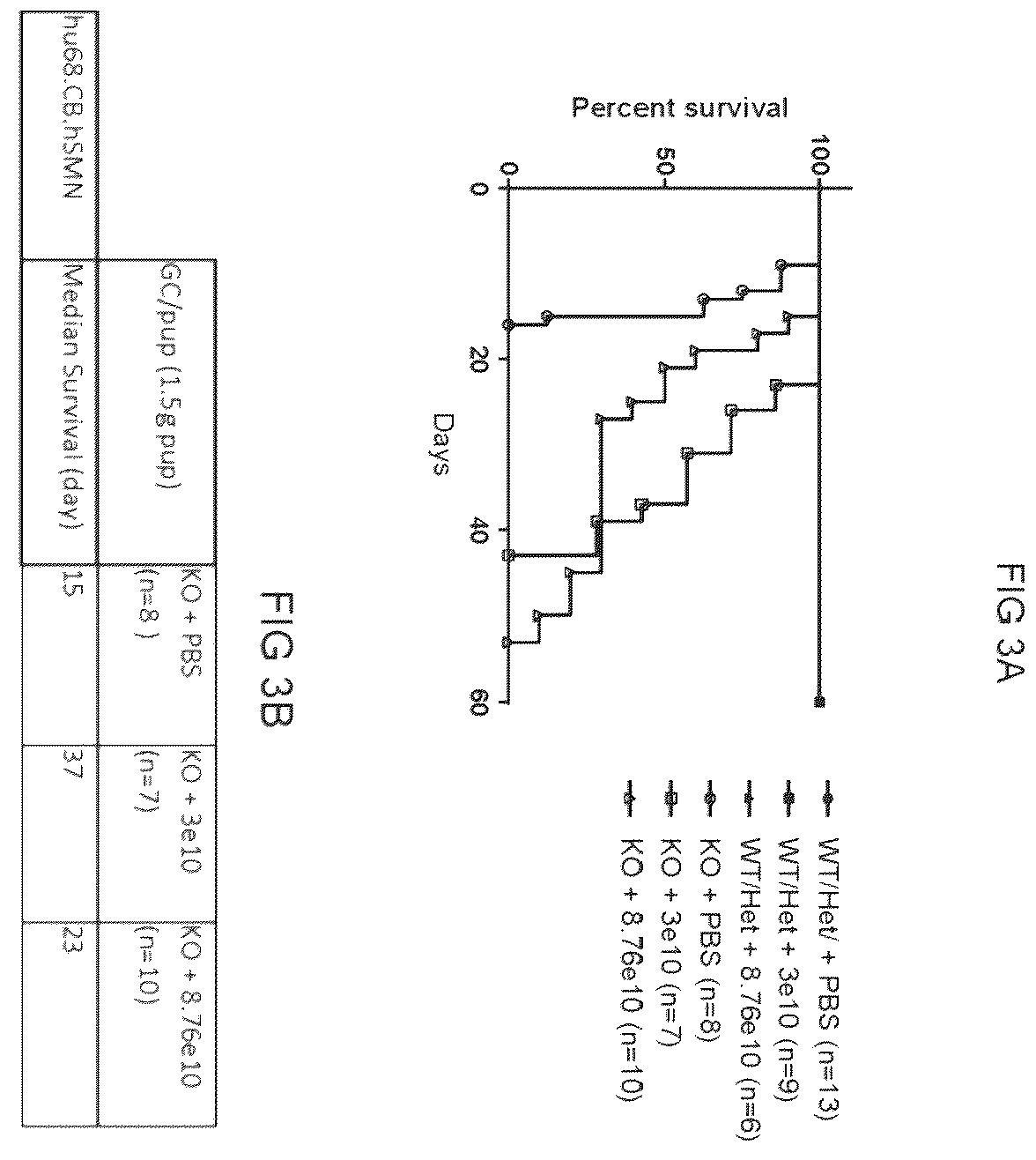 Patent US12612647 Figure 4 – Compositions useful in treatment of spinal muscular atrophy