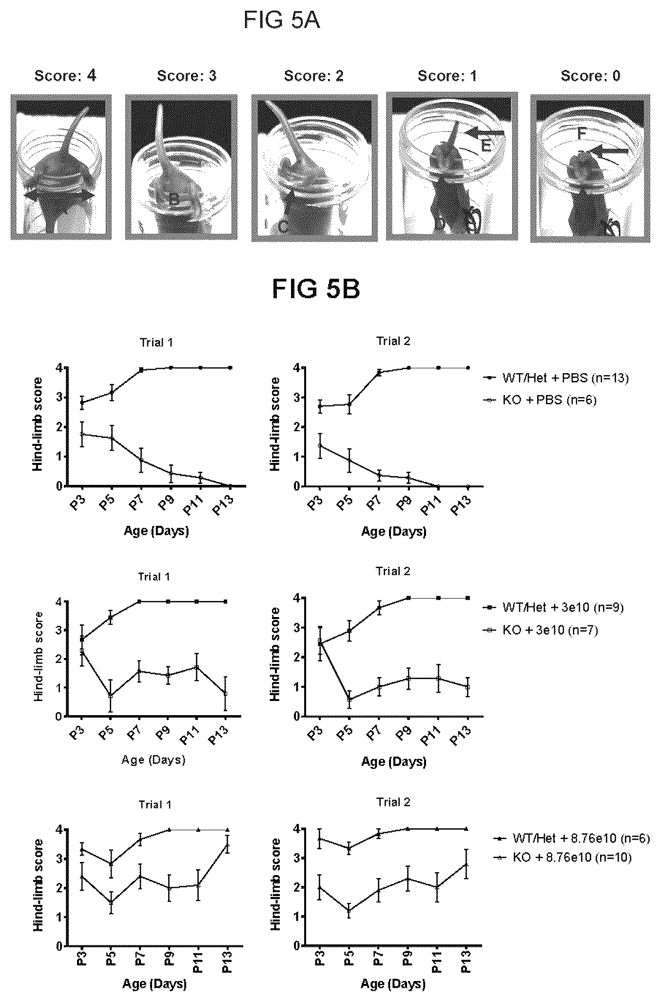 Patent US12612647 Figure 10 – Compositions useful in treatment of spinal muscular atrophy
