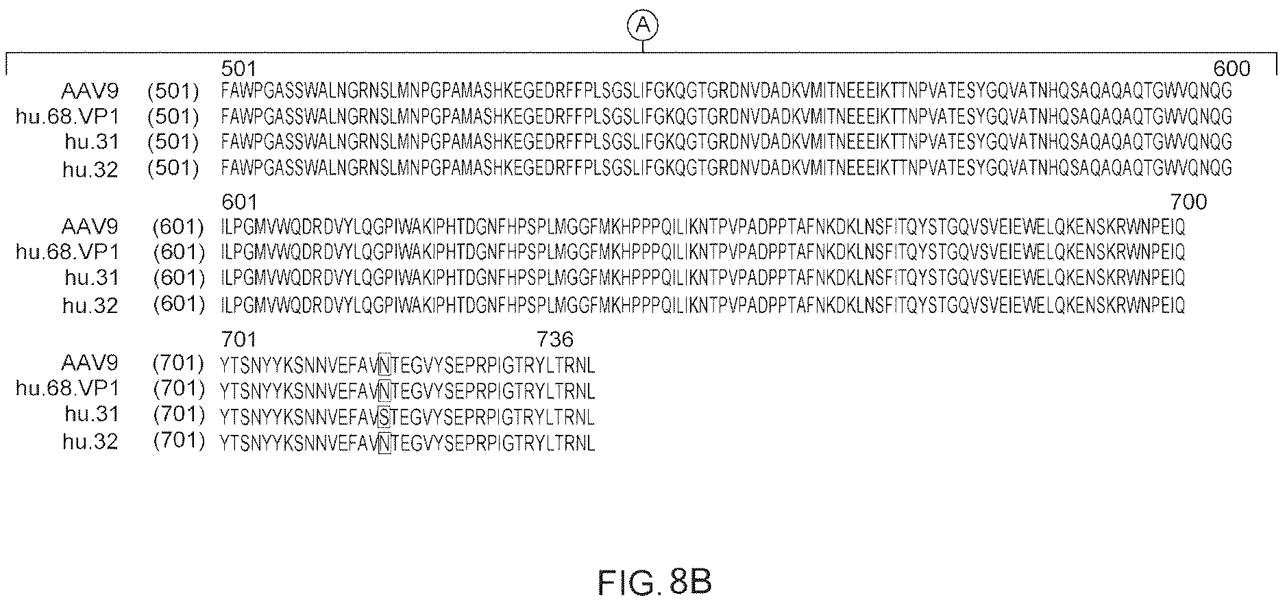 Patent US12612647 Figure 16 – Compositions useful in treatment of spinal muscular atrophy