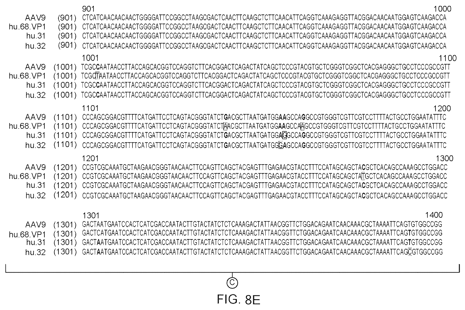 Patent US12612647 Figure 19 – Compositions useful in treatment of spinal muscular atrophy