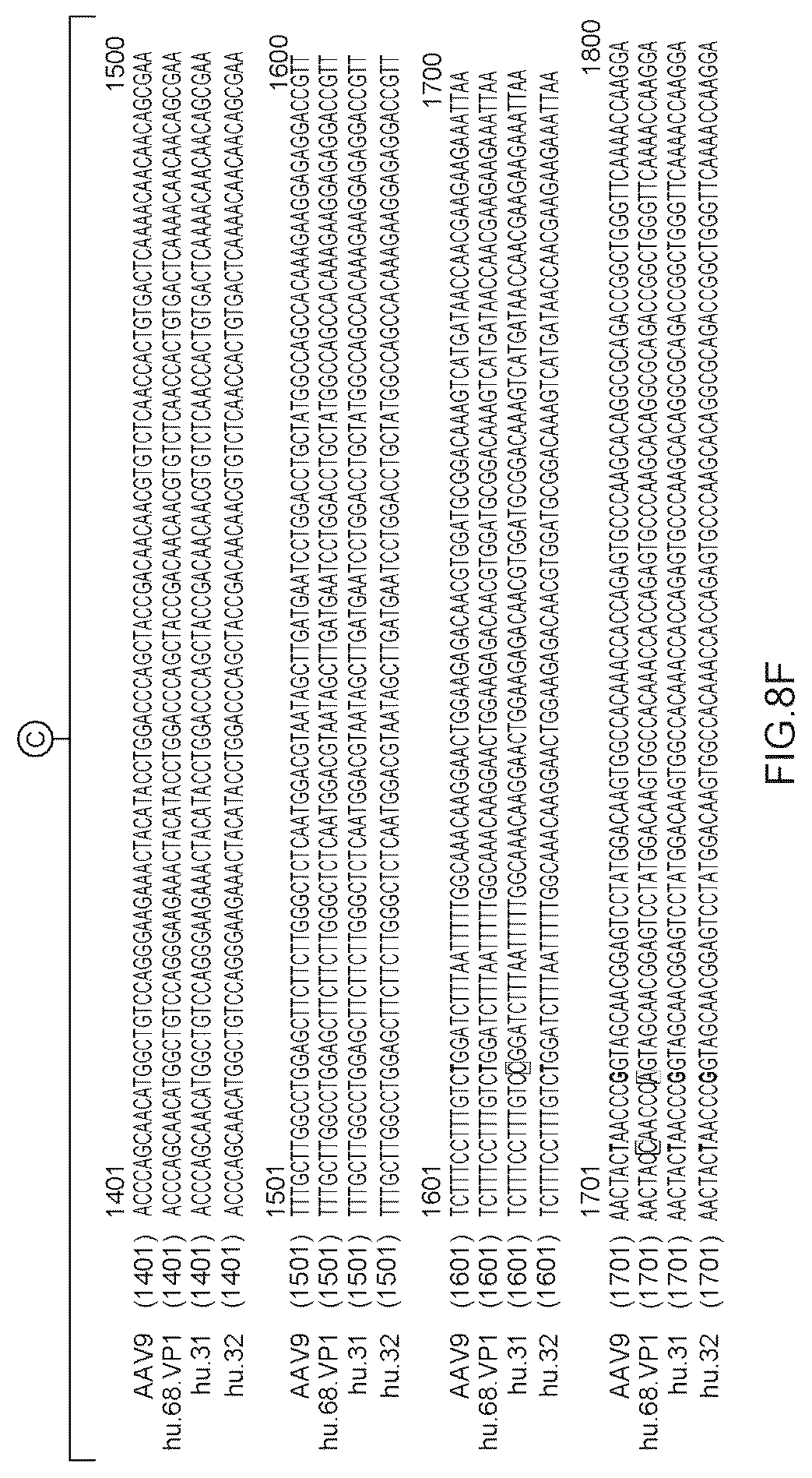 Patent US12612647 Figure 20 – Compositions useful in treatment of spinal muscular atrophy