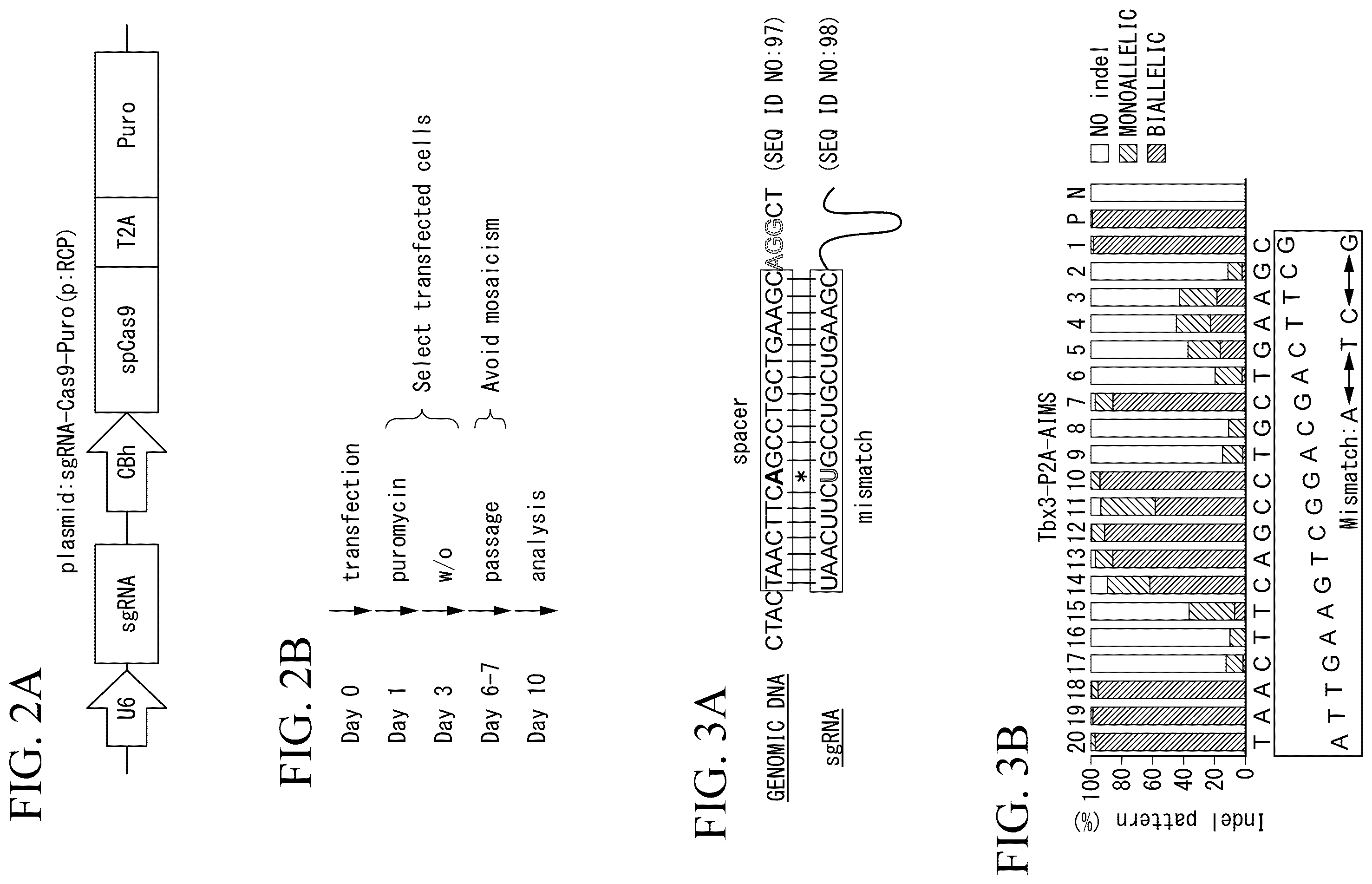 Patent US12612648 Figure 3 – Production method for genome-edited cells