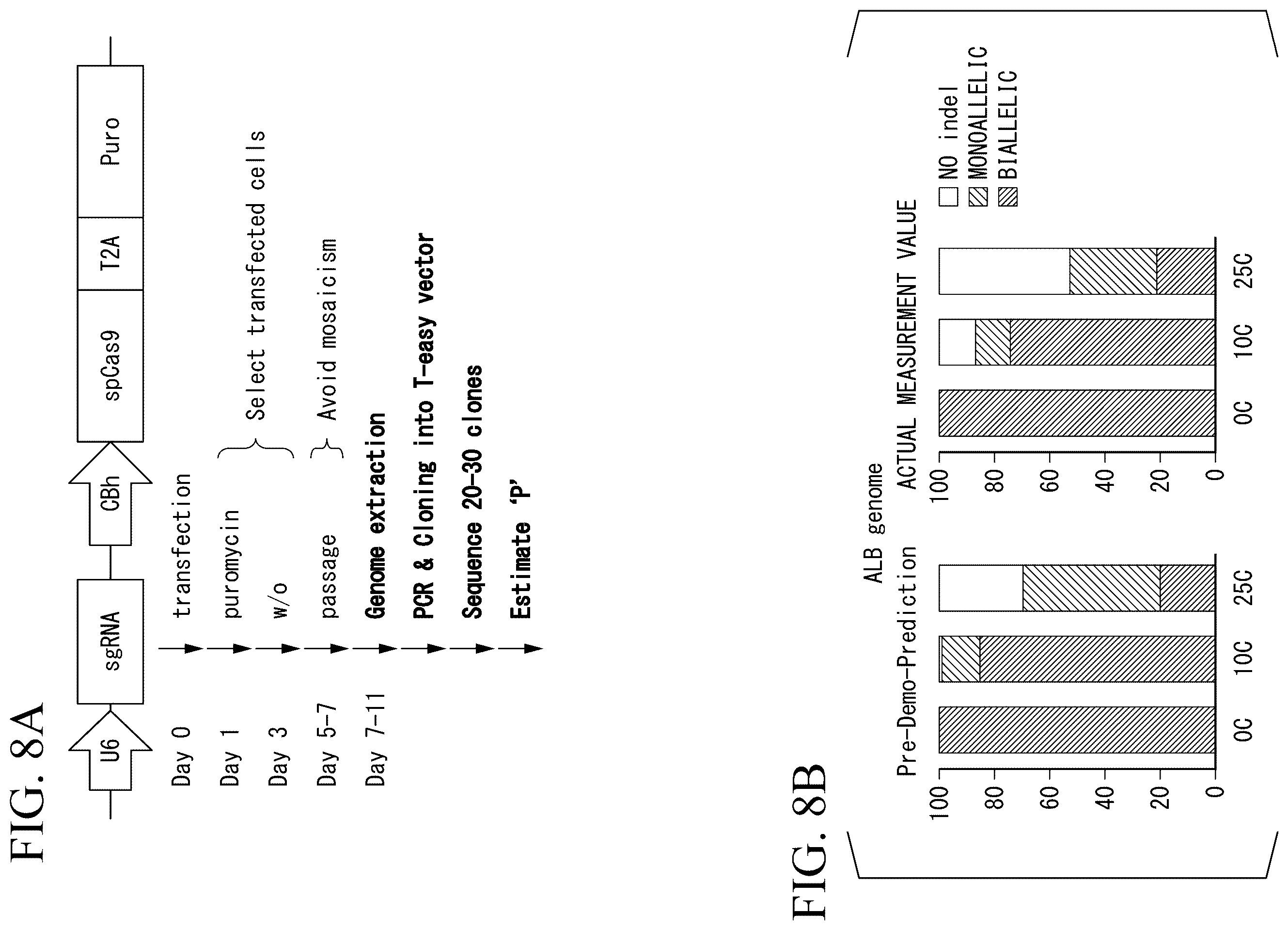 Patent US12612648 Figure 11 – Production method for genome-edited cells