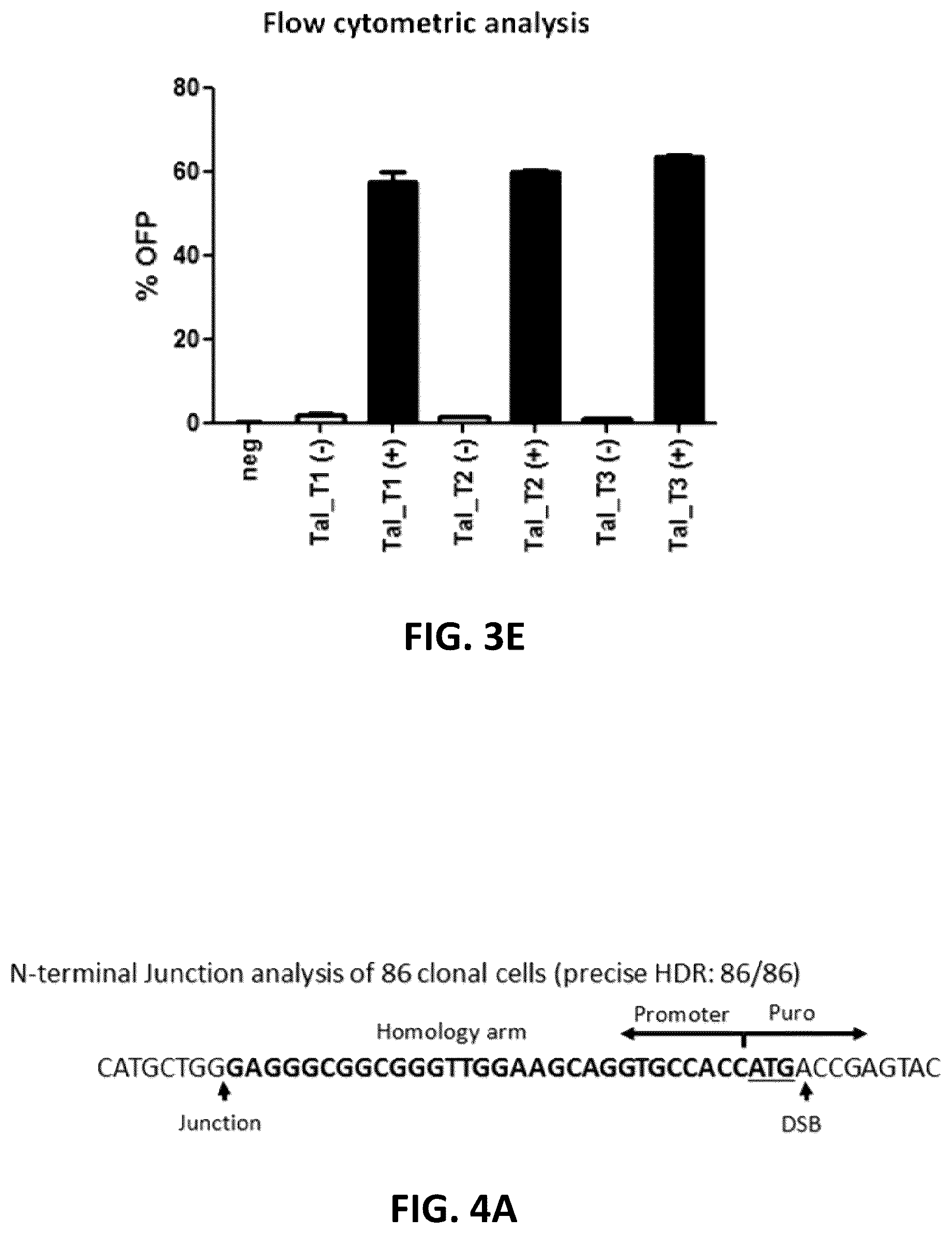 Patent US12612650 Figure 7 – Methods for improved homologous recombination and compositions thereof