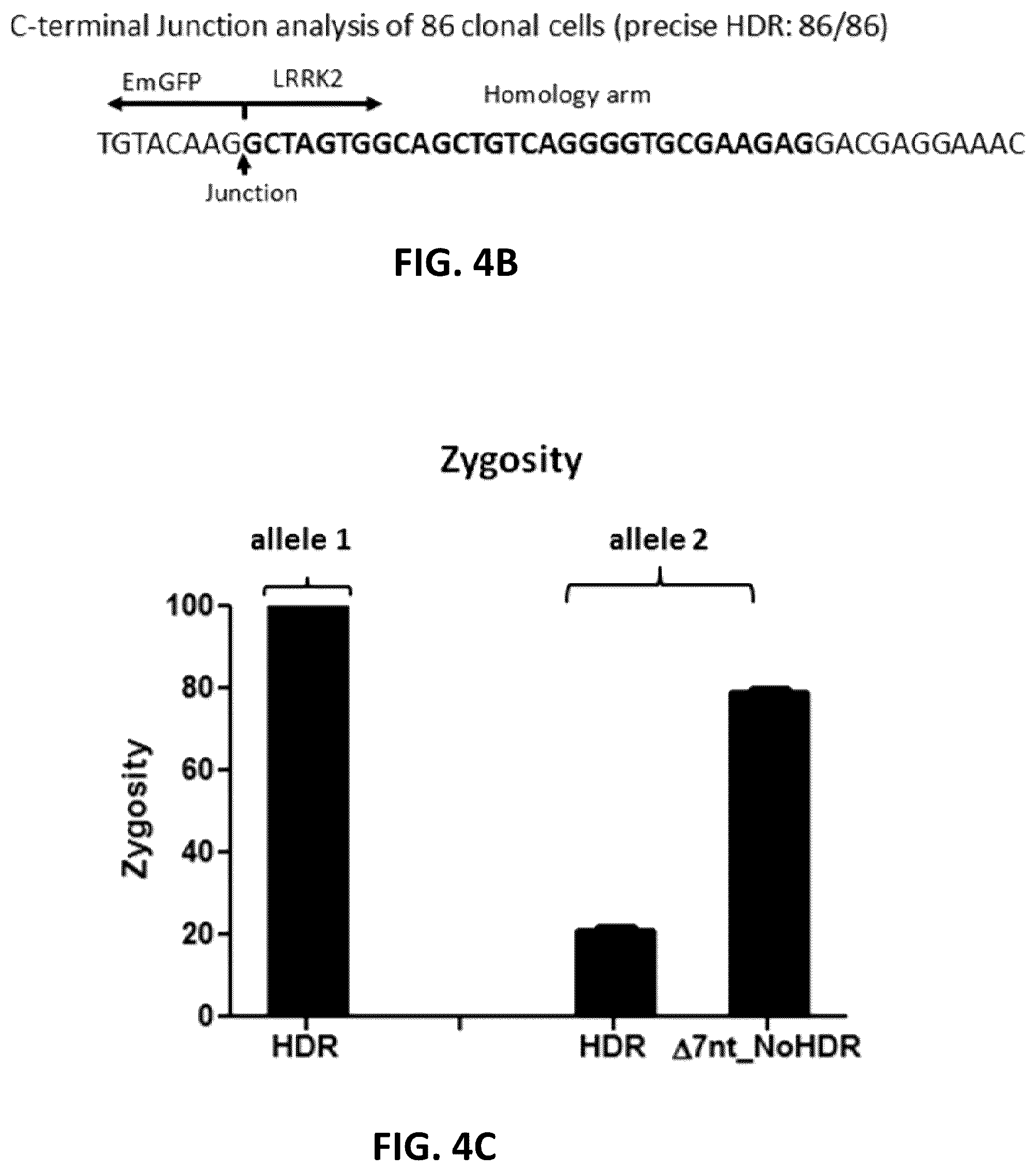 Patent US12612650 Figure 8 – Methods for improved homologous recombination and compositions thereof