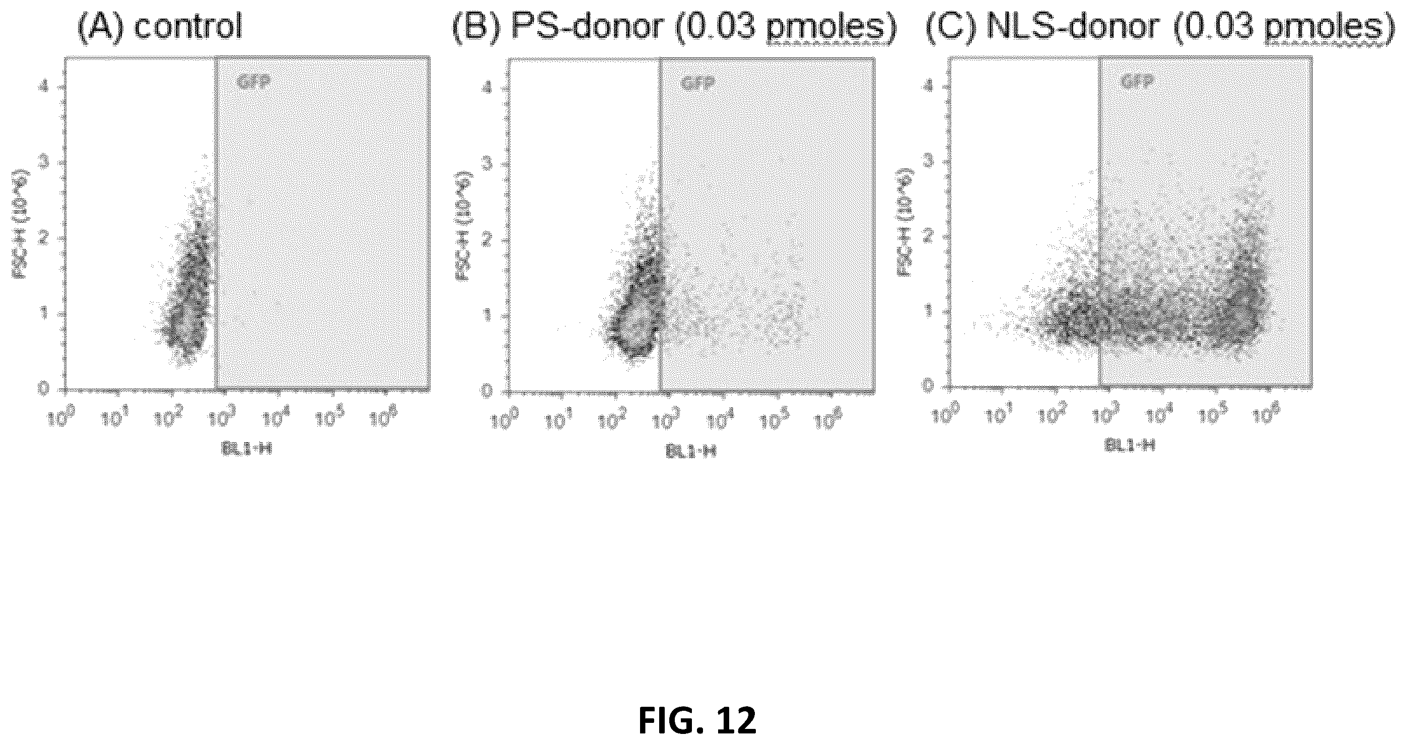 Patent US12612650 Figure 19 – Methods for improved homologous recombination and compositions thereof