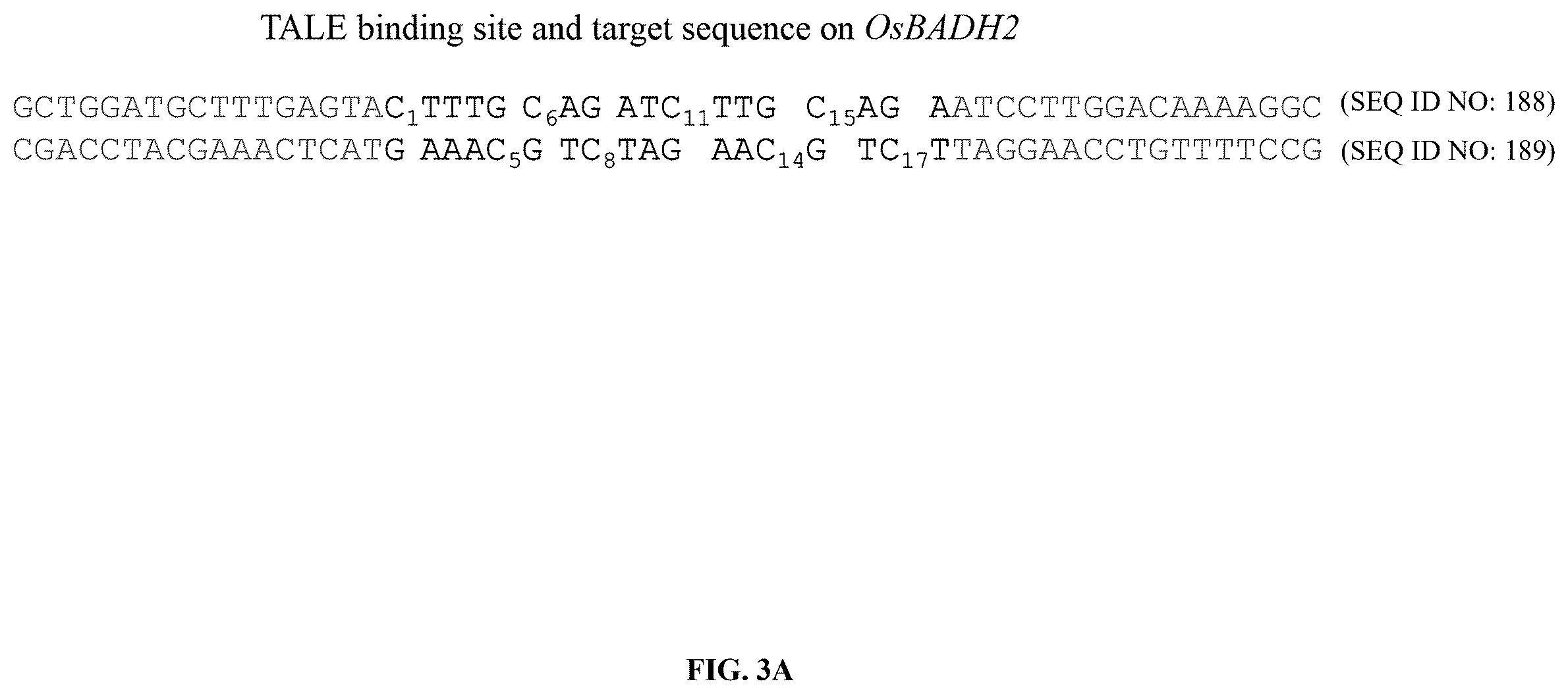 Patent US12612651 Figure 4 – Base editor and the use thereof