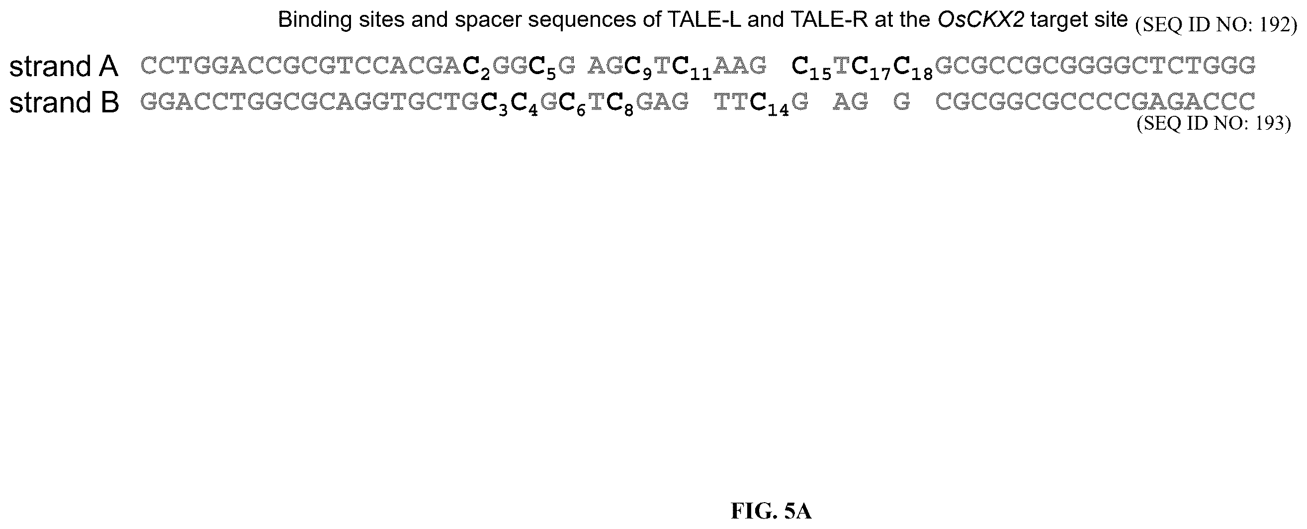 Patent US12612651 Figure 9 – Base editor and the use thereof