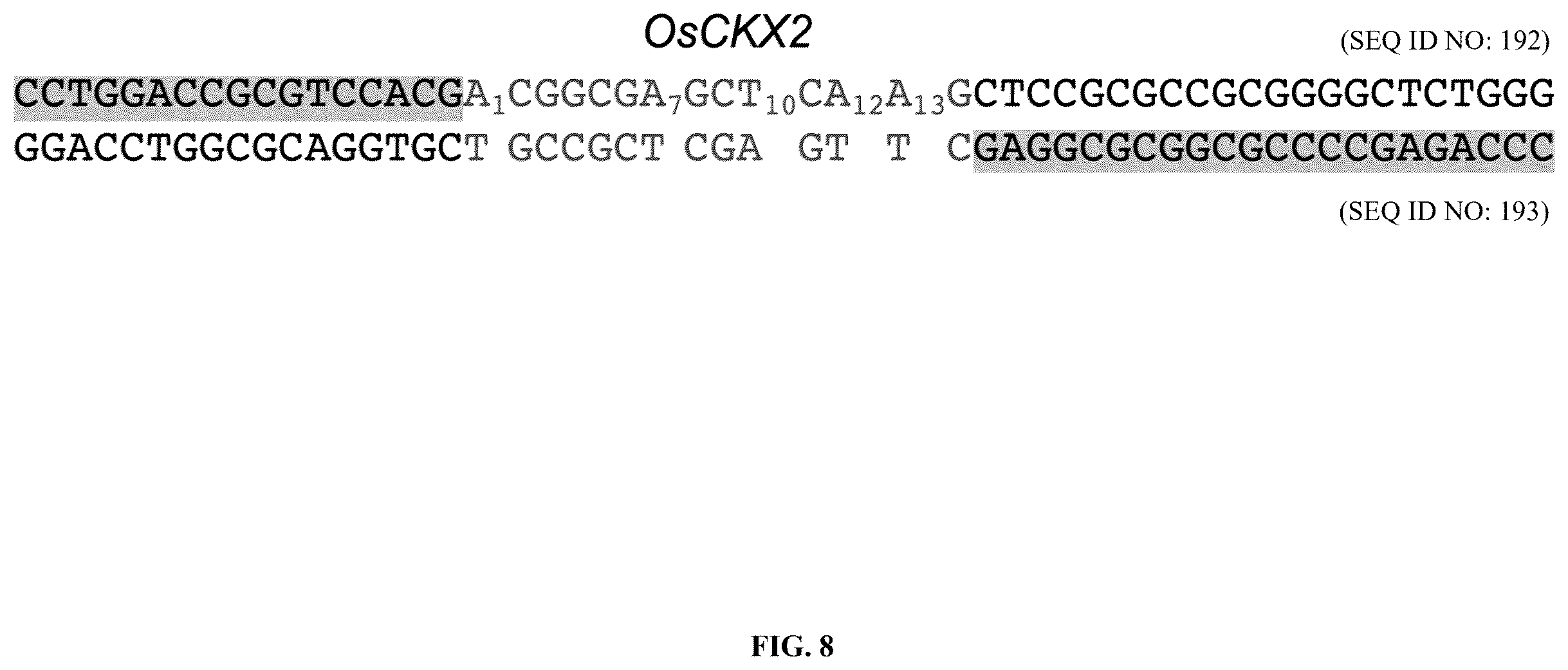 Patent US12612651 Figure 16 – Base editor and the use thereof