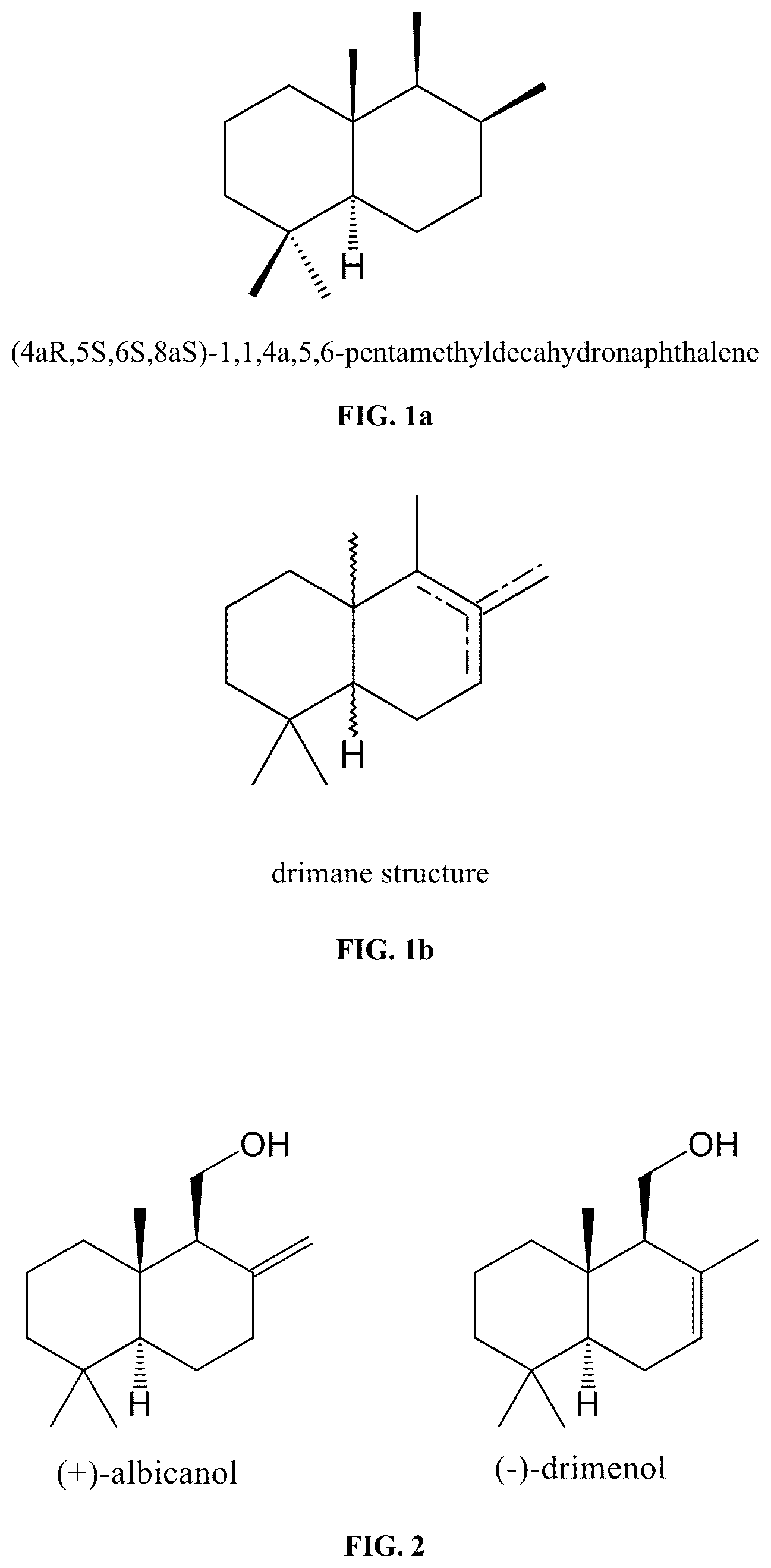 Patent US12612653 — Polypeptides for producing albicanol and/or drimenol compounds — Figure 1