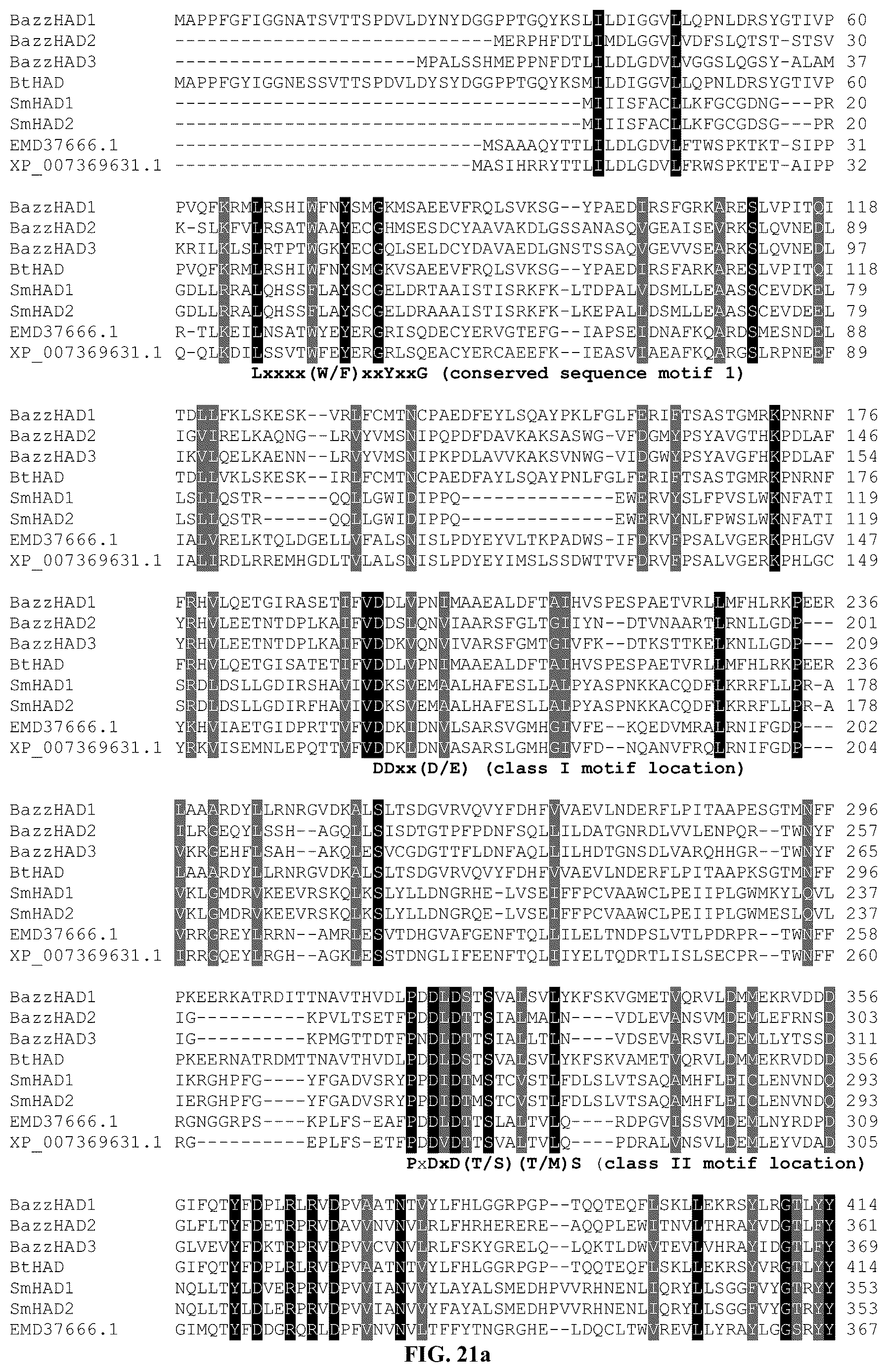 Patent US12612653 Figure 20 – Polypeptides for producing albicanol and/or drimenol compounds