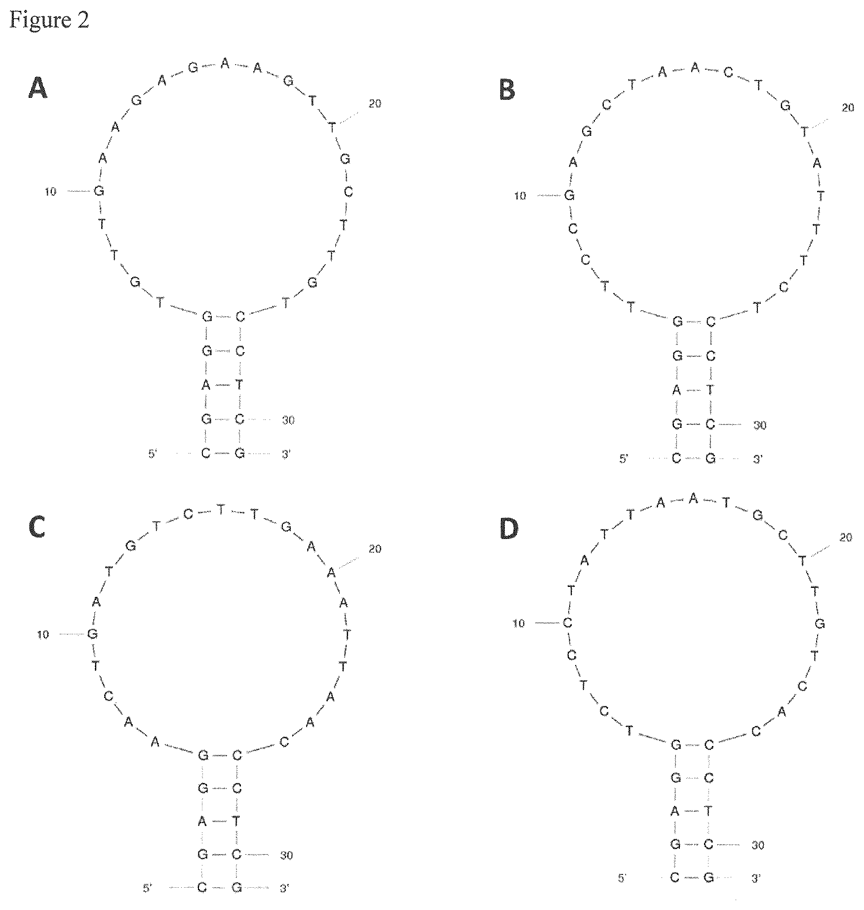 Patent US12612654 Figure 2 – Method for analyzing RNA