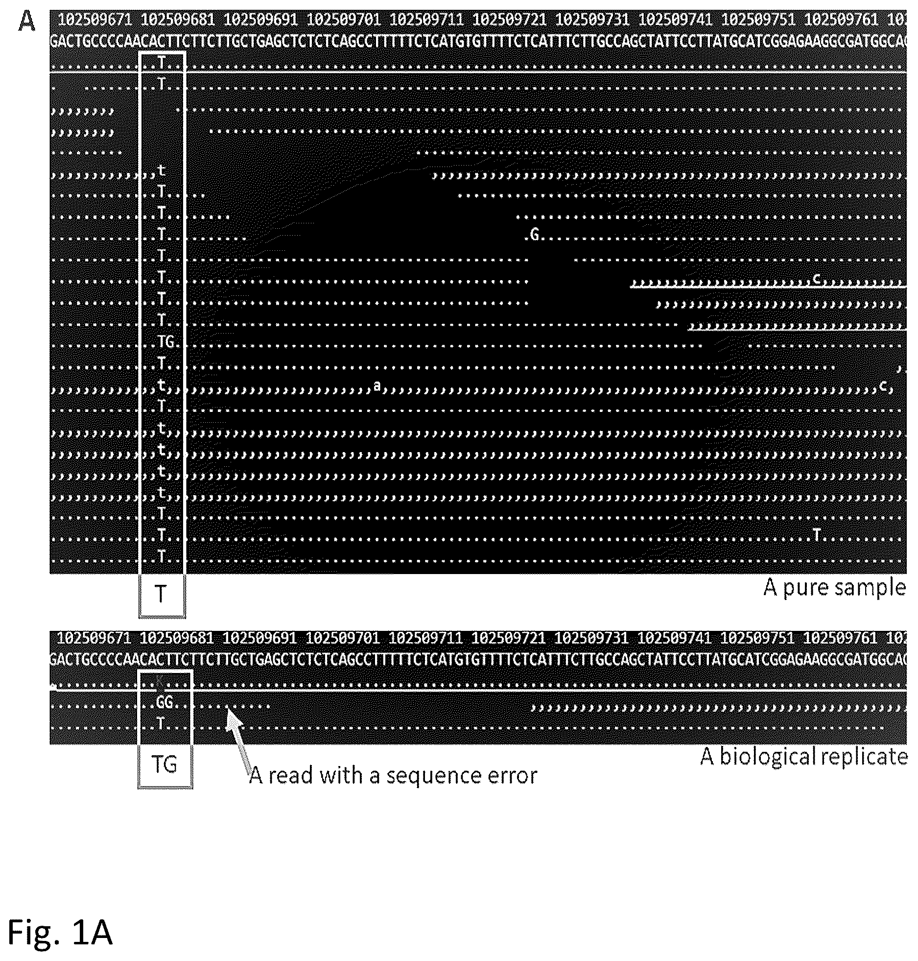 Patent US12612655 Figure 1 – Methods for screening biological samples for contamination